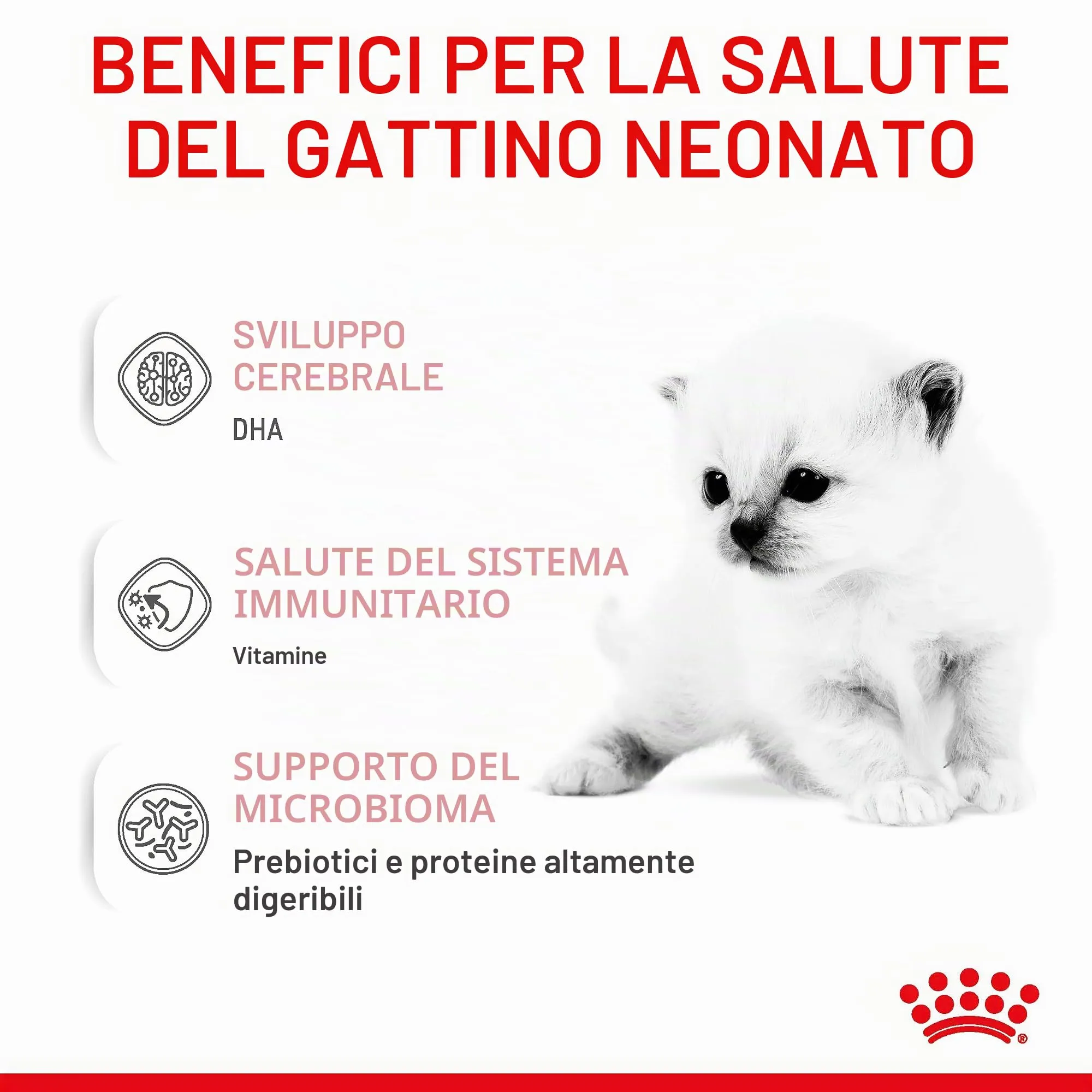 Royal Canin Babycat Milk Latte in polvere per gattini, 300 g - immagine 4