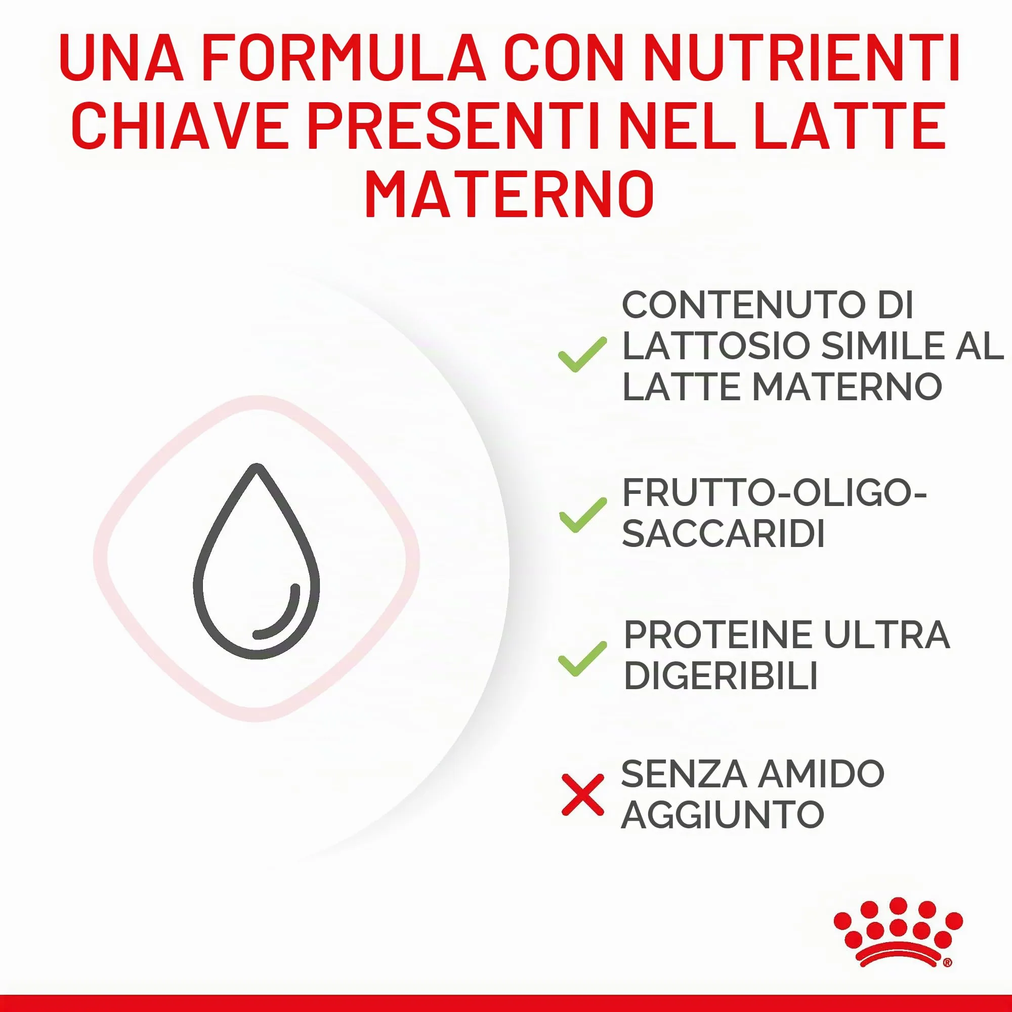 Royal Canin Babycat Milk Latte in polvere per gattini, 300 g - immagine 7