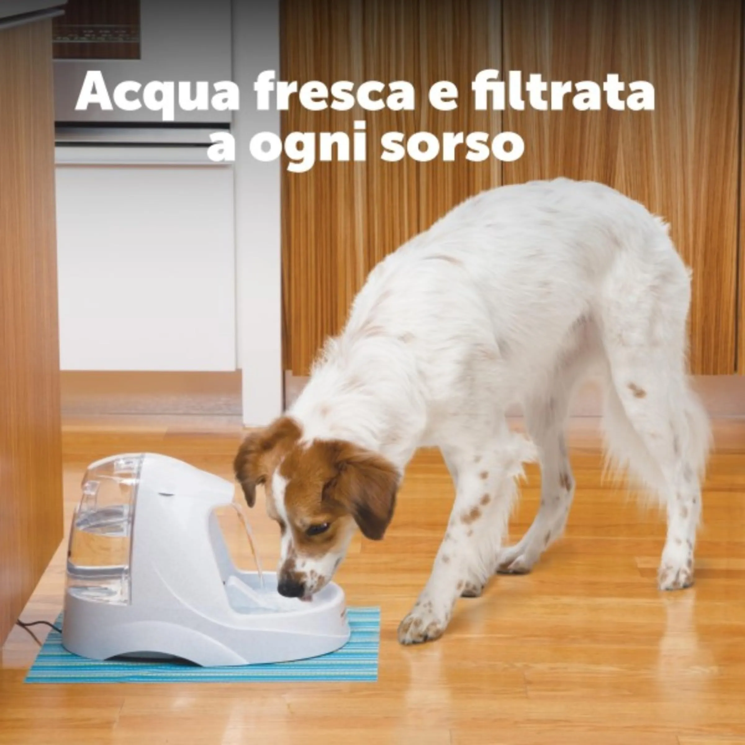 PetSafe Drinkwell Cartucce Filtro di Ricambio per Fontanelle Originali, Platino e Mini, Confezione da 3 - immagine 3