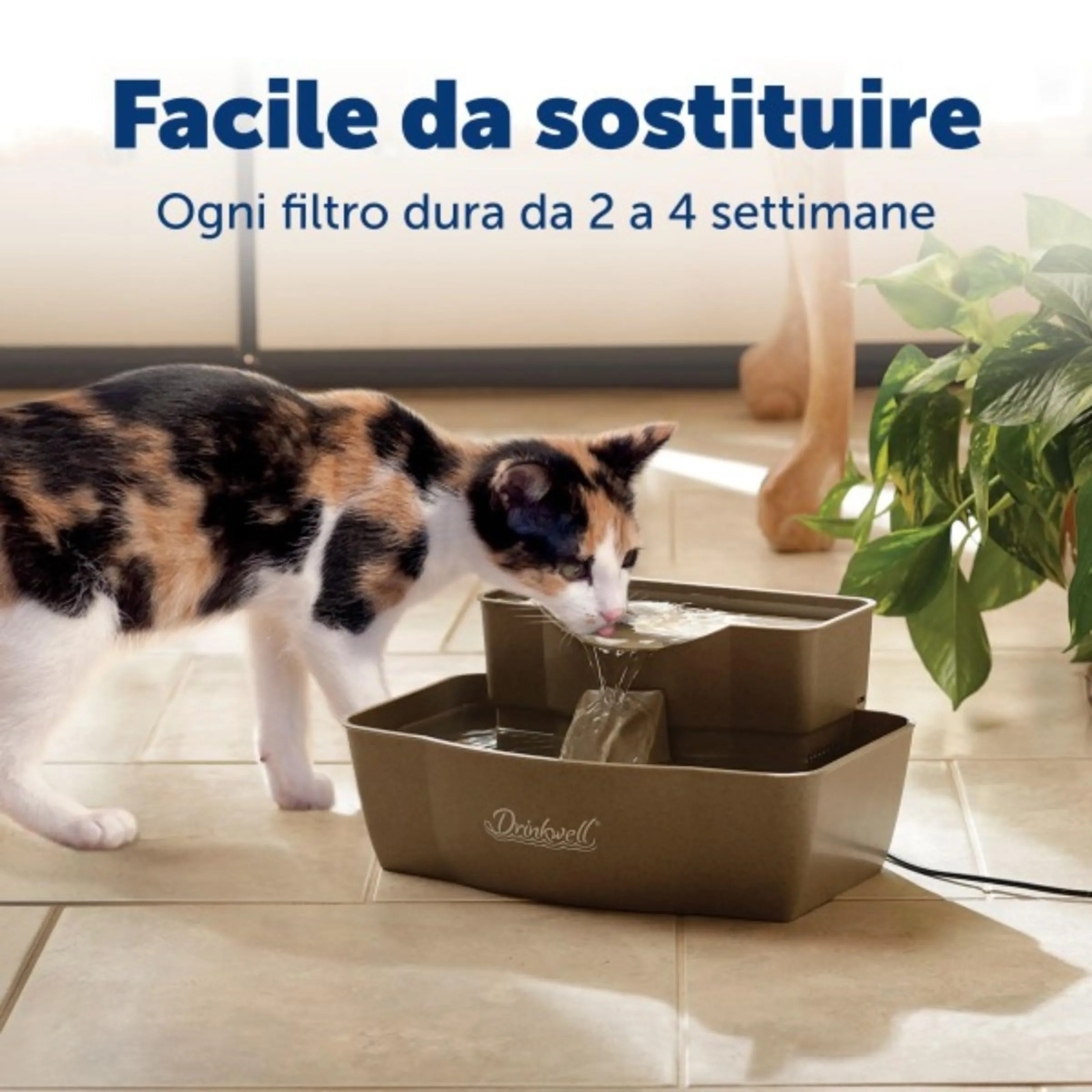PetSafe Drinkwell Cartucce Filtro di Ricambio per Fontanelle Originali, Platino e Mini, Confezione da 3 - immagine 6