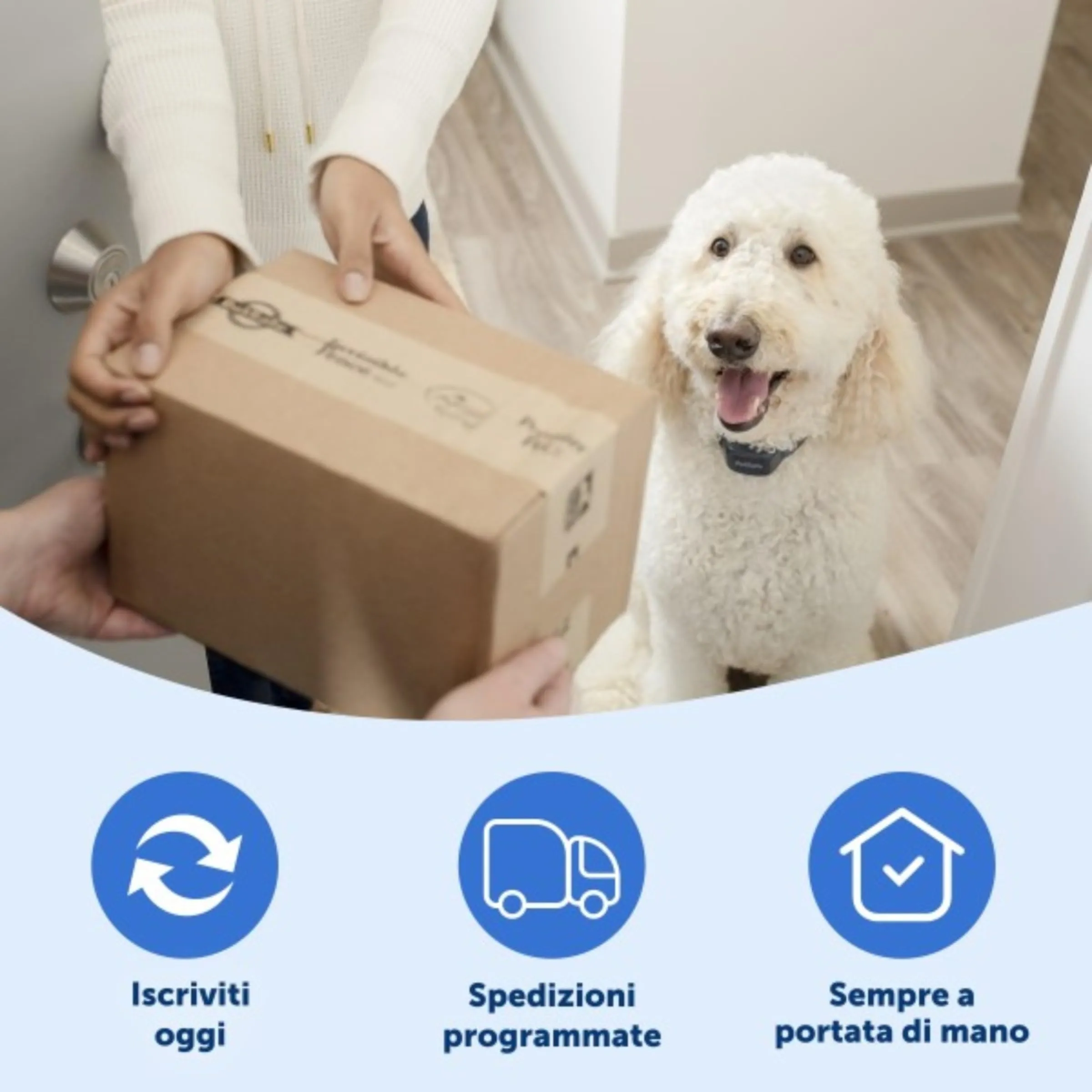 PetSafe Drinkwell Cartucce Filtro di Ricambio per Fontanelle Originali, Platino e Mini, Confezione da 3 - immagine 7