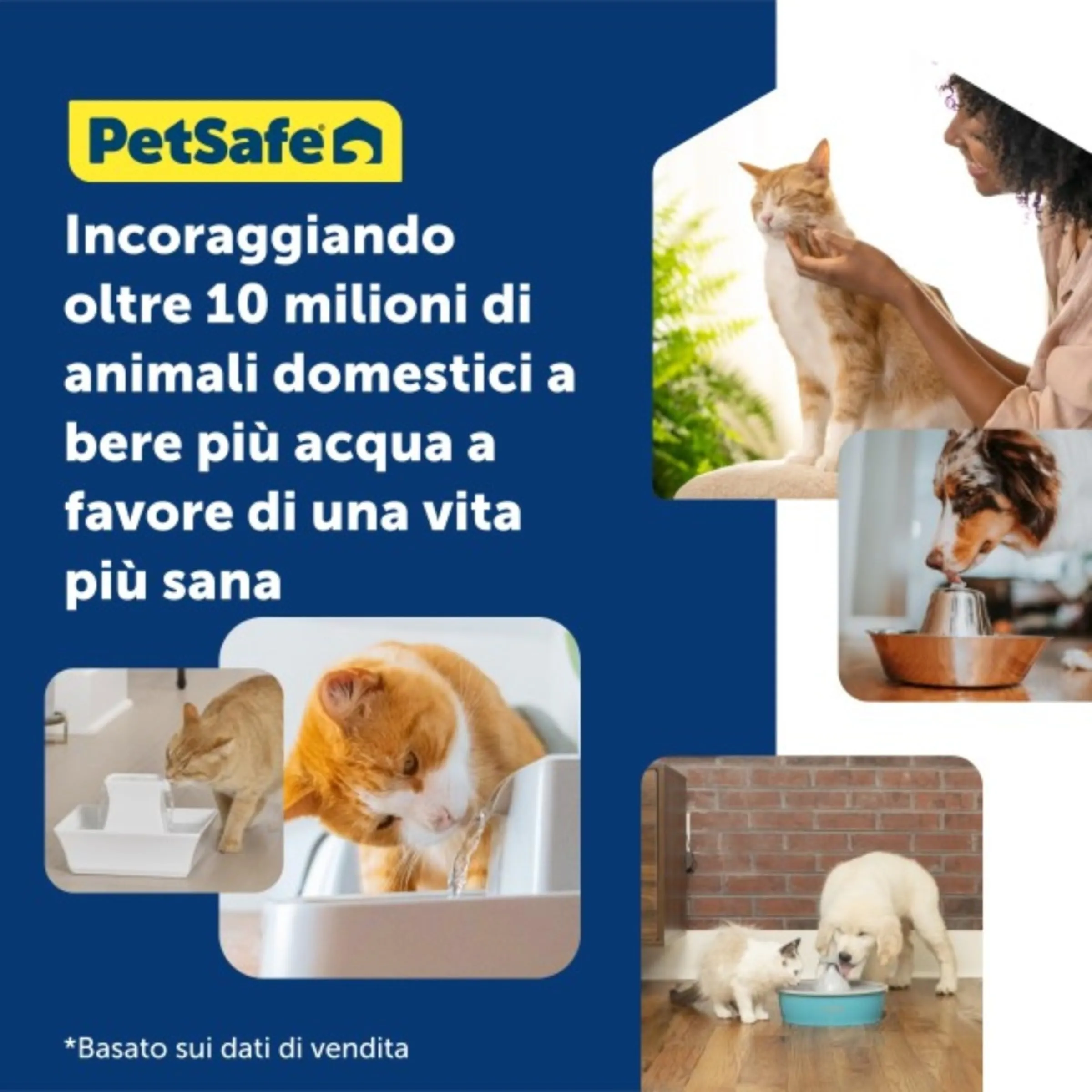PetSafe Drinkwell Cartucce Filtro di Ricambio per Fontanelle Originali, Platino e Mini, Confezione da 3 - immagine 8