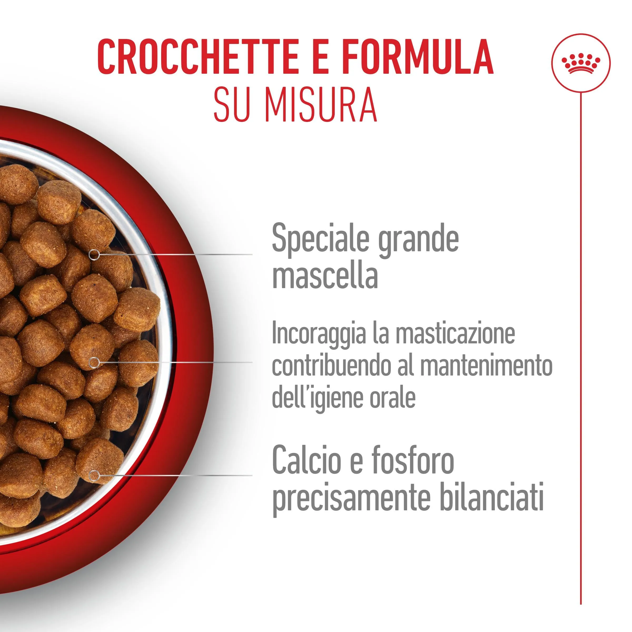 Royal Canin Maine Coon Kitten Cibo secco per gattini, 4kg - immagine 3