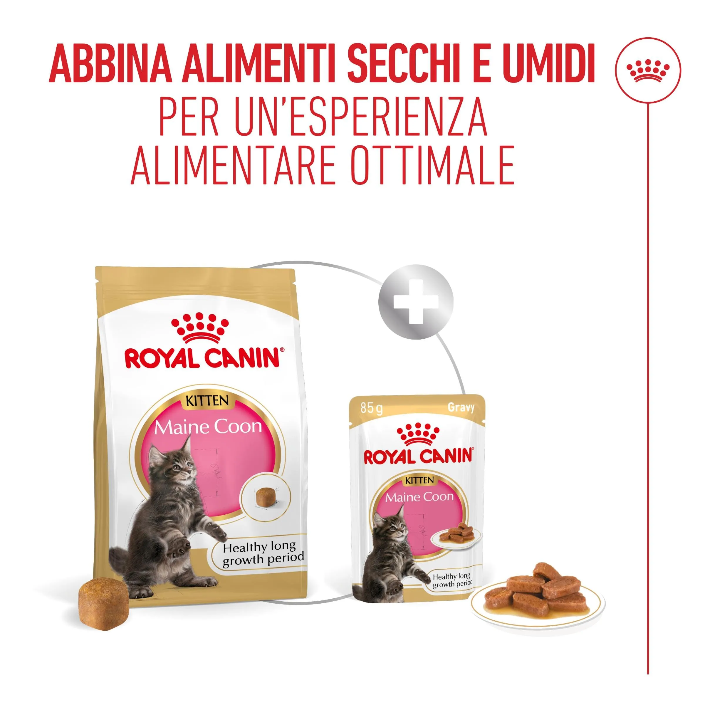Royal Canin Maine Coon Kitten Cibo secco per gattini, 4kg - immagine 4