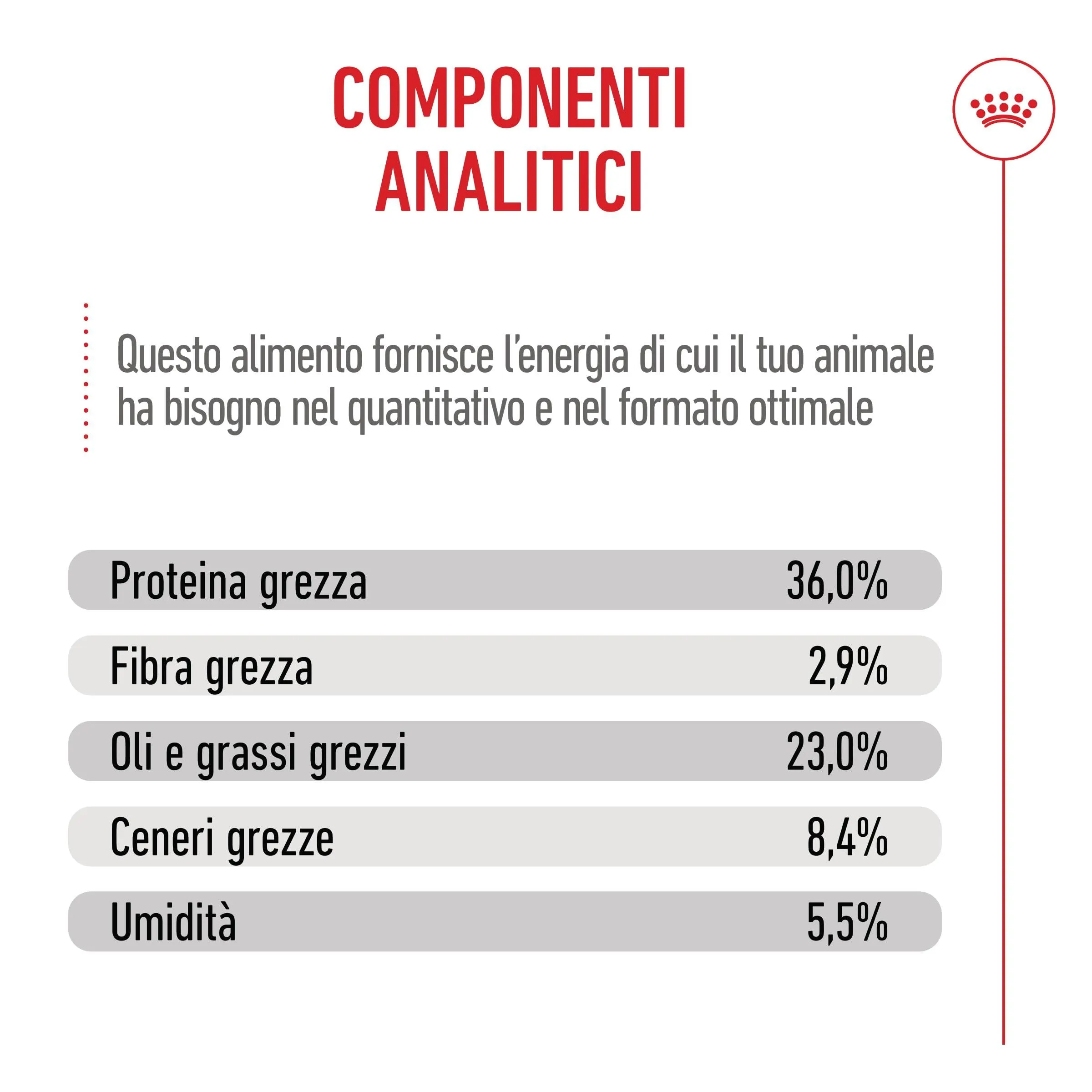Royal Canin Maine Coon Kitten Cibo secco per gattini, 4kg - immagine 6