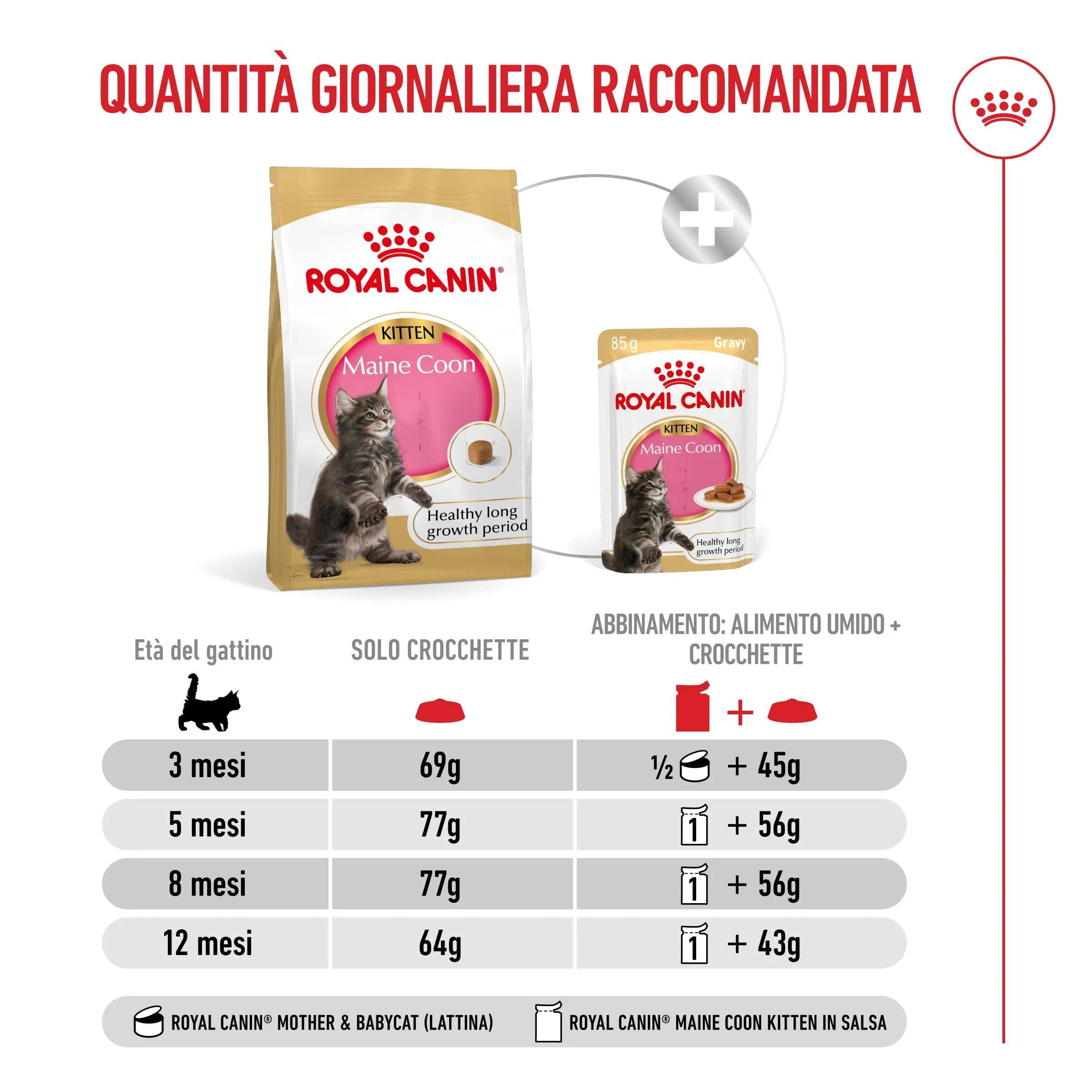 Royal Canin Maine Coon Kitten Cibo secco per gattini, 4kg - immagine 7