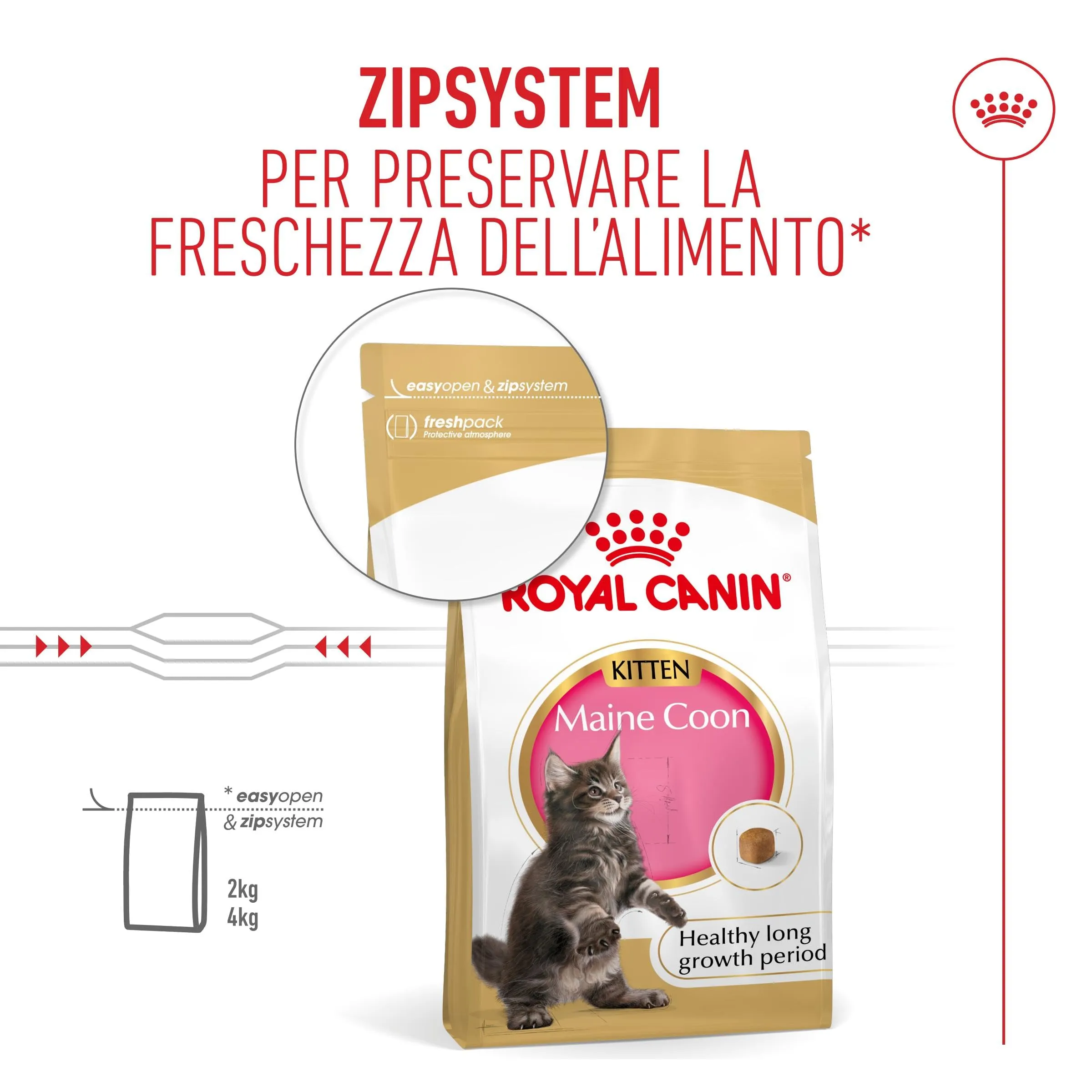 Royal Canin Maine Coon Kitten Cibo secco per gattini, 4kg - immagine 9