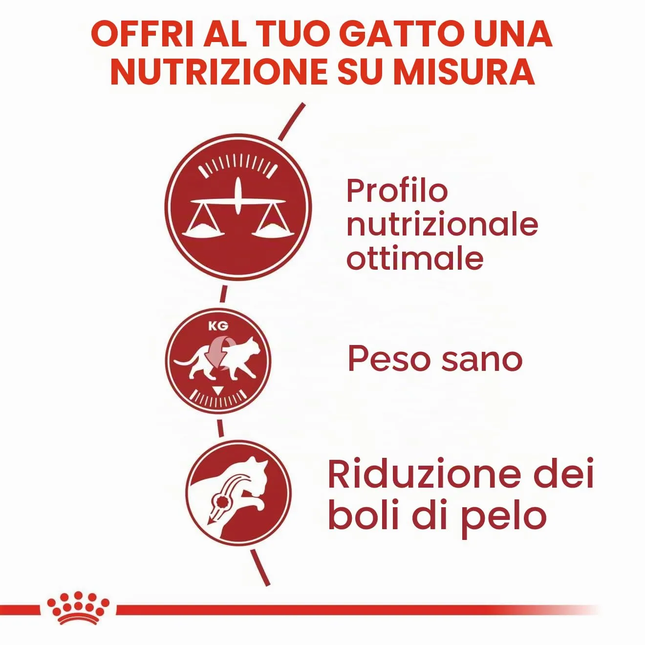 Royal Canin Fit 32 Cat Food, 4 kg - immagine 3