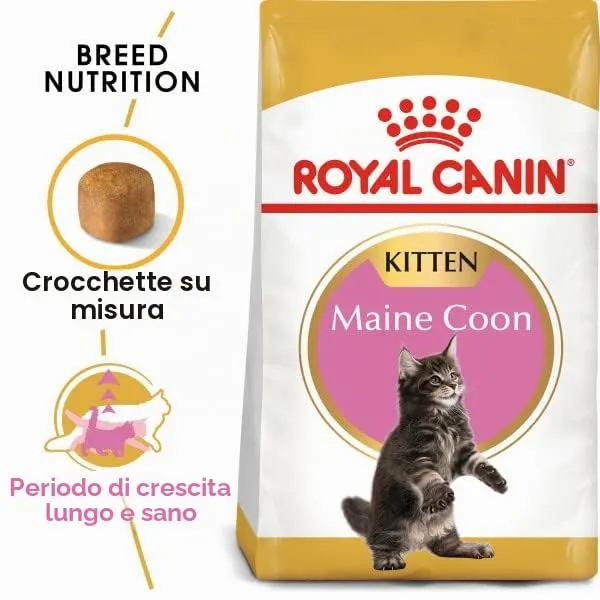 Royal Canin Kitten Maine Coon 10 kg - immagine 4