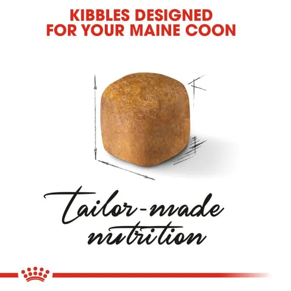Royal Canin Kitten Maine Coon 10 kg - immagine 7