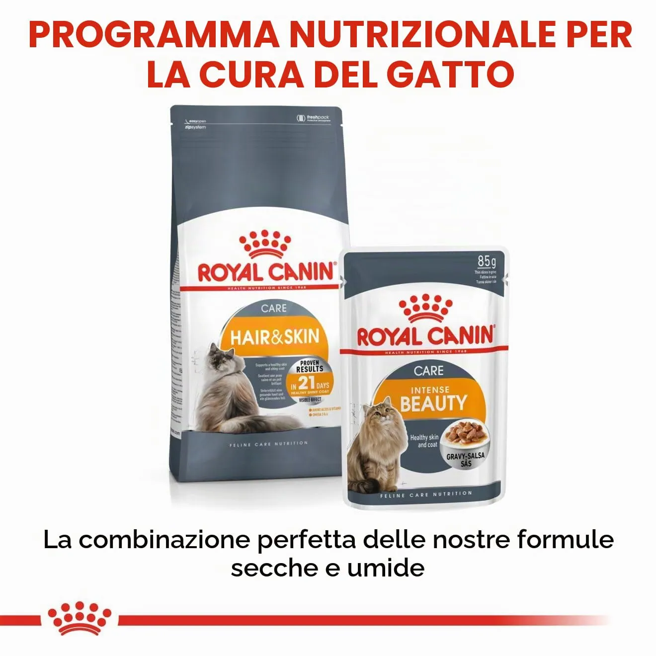 Royal Canin Intense Beauty Cat Food - 12 x 85g - immagine 4