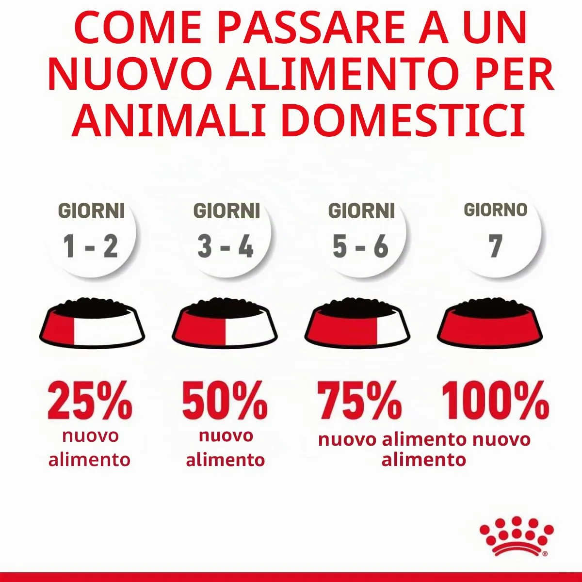 Royal Canin Intense Beauty Cat Food - 12 x 85g - immagine 6