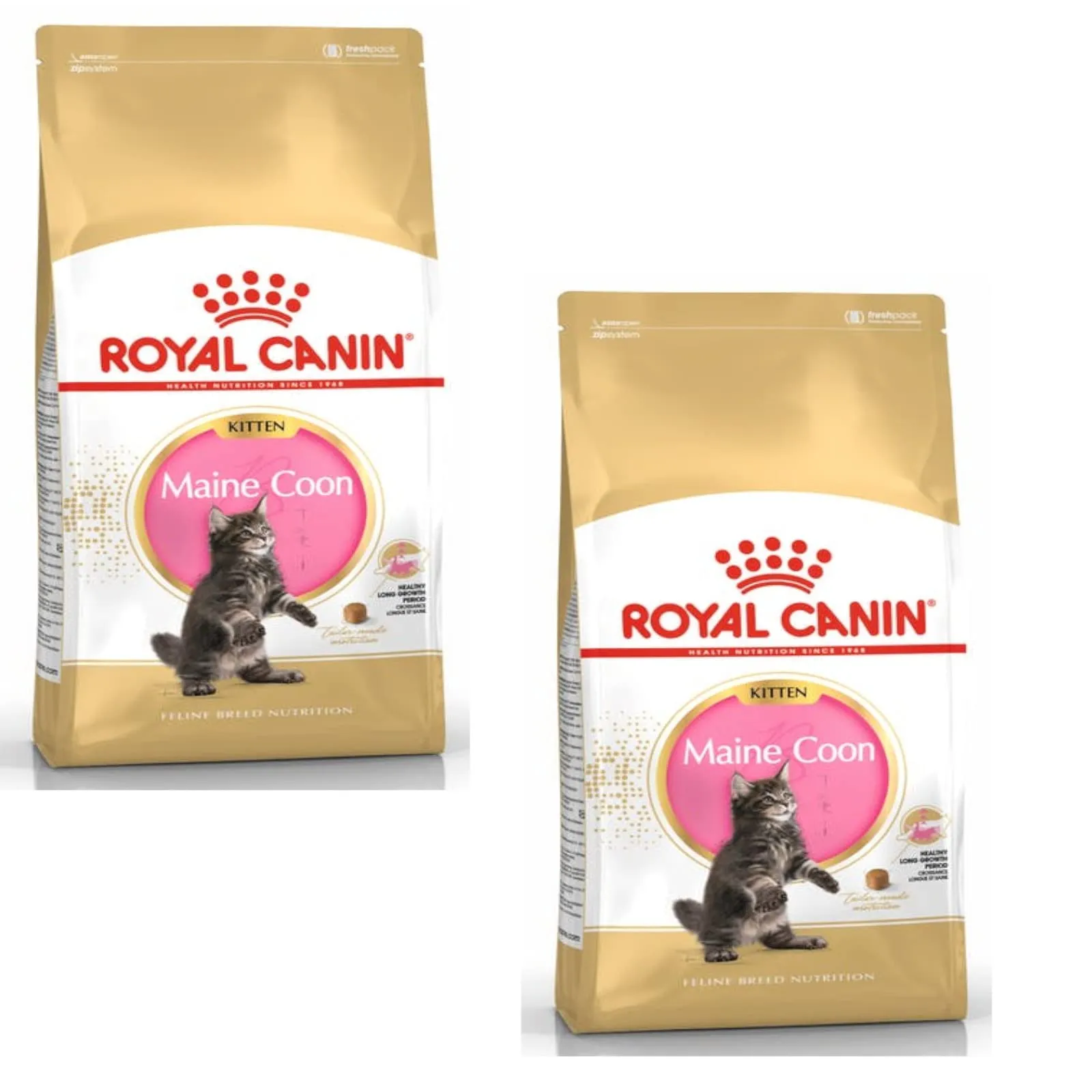 Royal Canin Maine Coon Kitten Cibo secco per gatti, 2 x 400 g - immagine 1