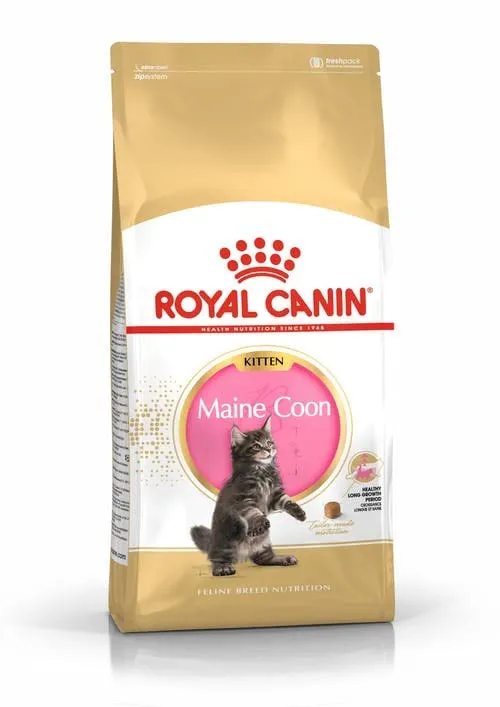 Royal Canin Maine Coon Kitten Cibo secco per gatti, 2 x 400 g - immagine 2