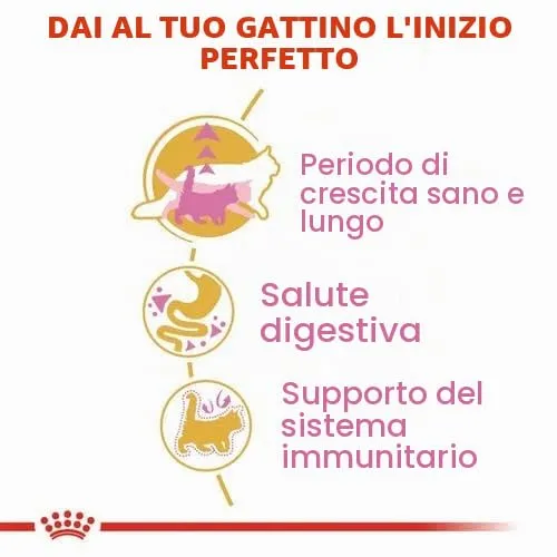 Royal Canin Maine Coon Kitten Cibo secco per gatti, 2 x 400 g - immagine 6