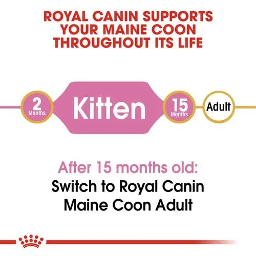 Royal Canin Maine Coon Kitten Cibo secco per gatti, 2 x 400 g - immagine 7