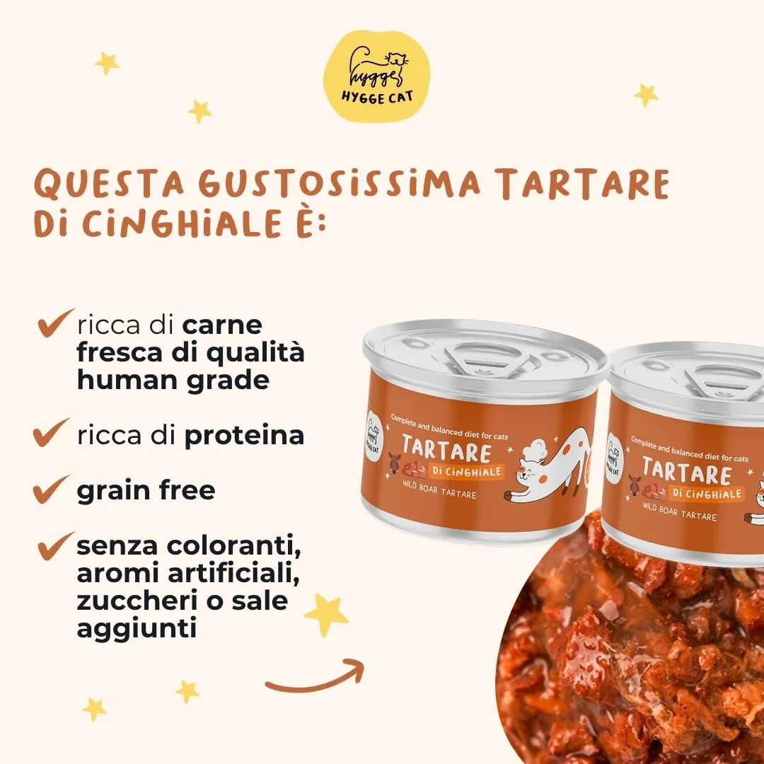 Hygge Cat Tartare di Cinghiale 70% Cibo Umido per Gatti Adulti Grain Free 18 x 85 g - immagine 2