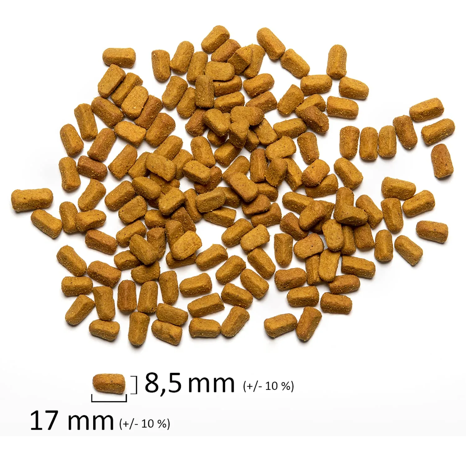 Psittacus Omega Mangime Completo per Ara, Ecletti, Cenerini e Pappagalli Africani, 3 kg - immagine 3