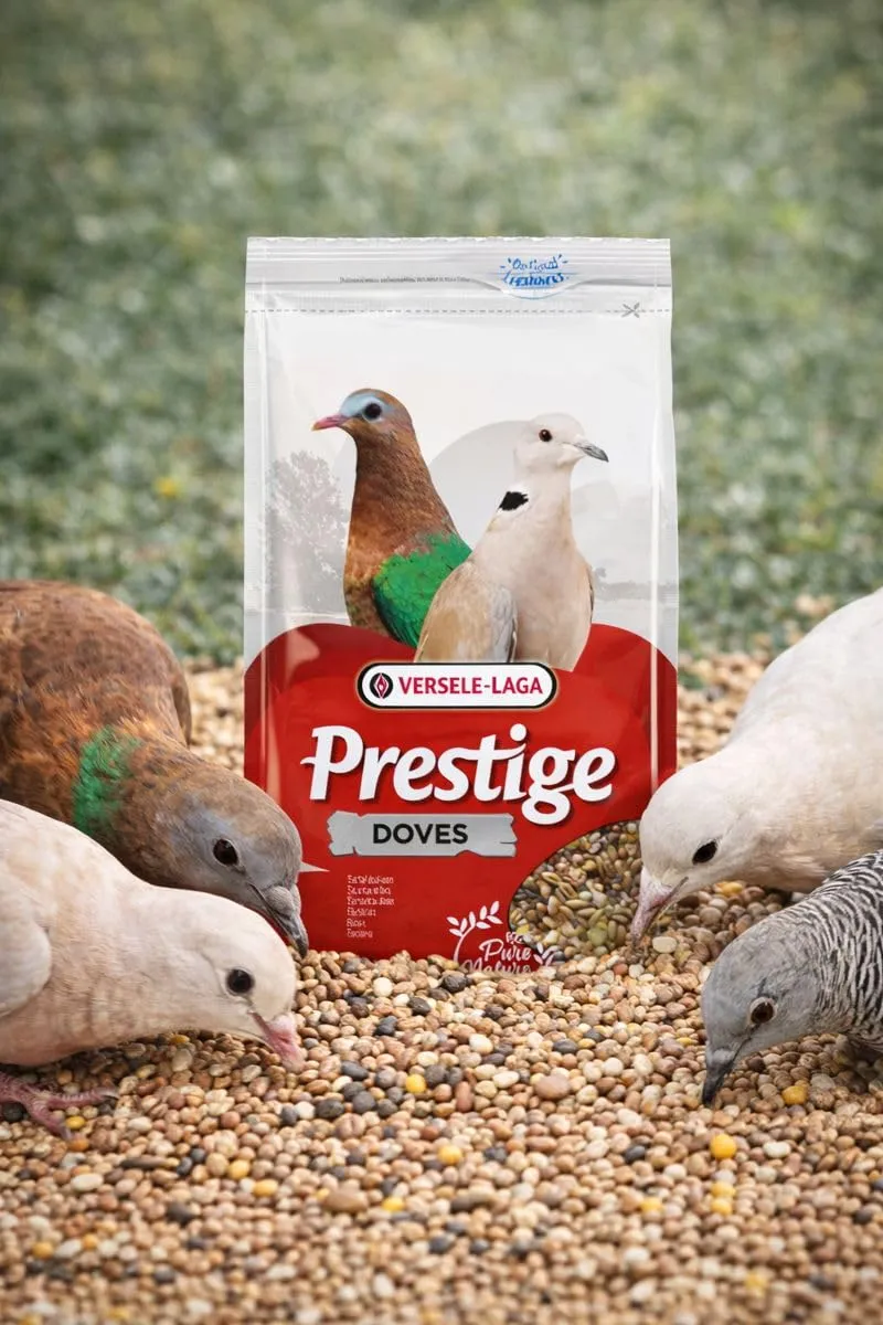 Versele-Laga Prestige Alimento Semi per Tortore - 4 kg - immagine 3
