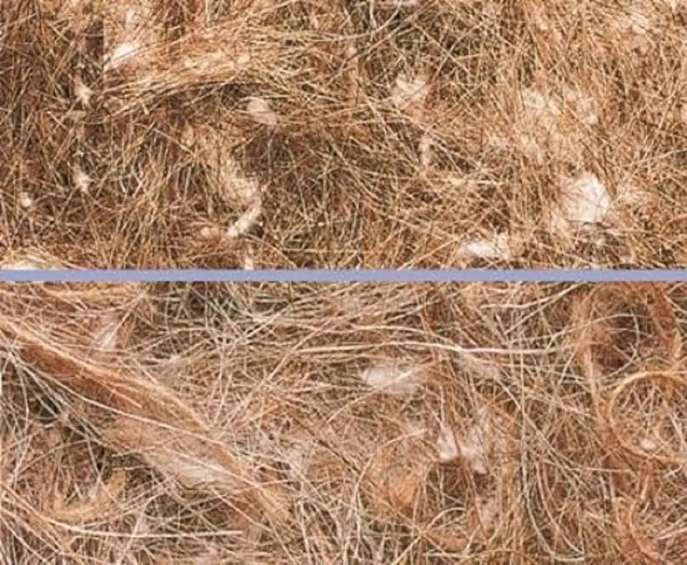 Nobby Materiale per nidi di uccelli vegetali 100 g - immagine 1