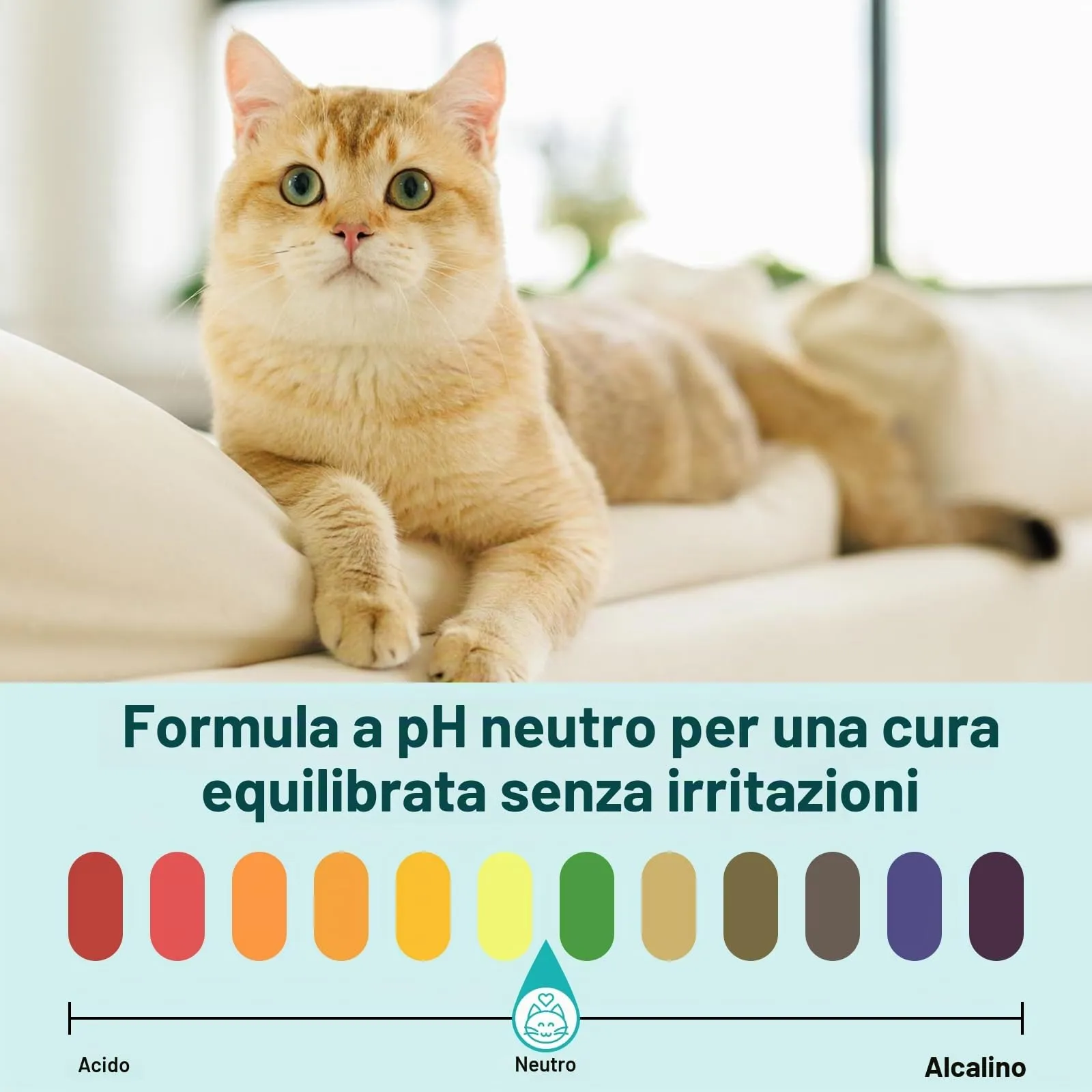 GJYC PET Mousse per rimozione acne e punti neri del mento per gatti, senza risciacquo con spazzola massaggiante - immagine 4