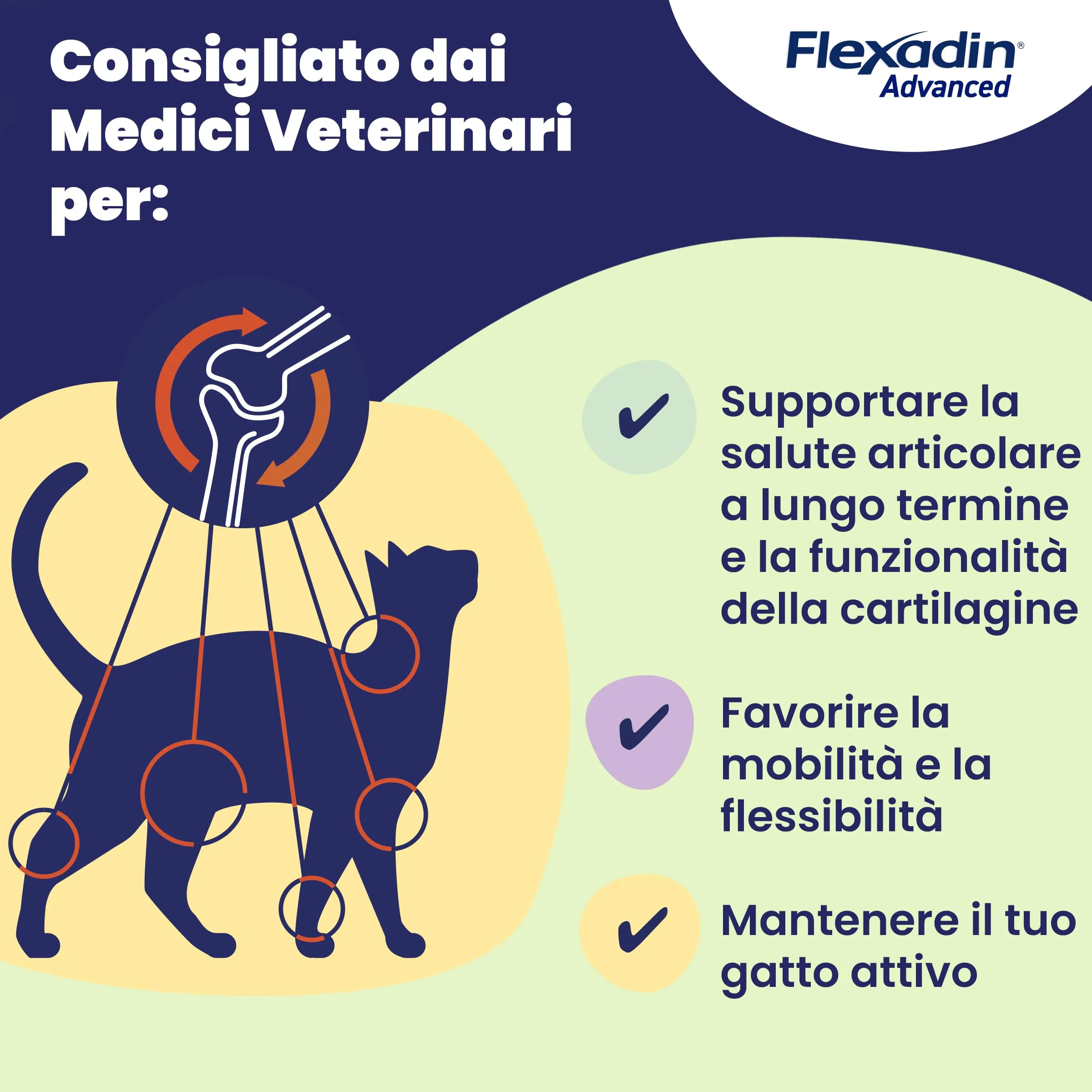 Vetoquinol Flexadin Advanced Gatto, 60 Tavolette - immagine 5