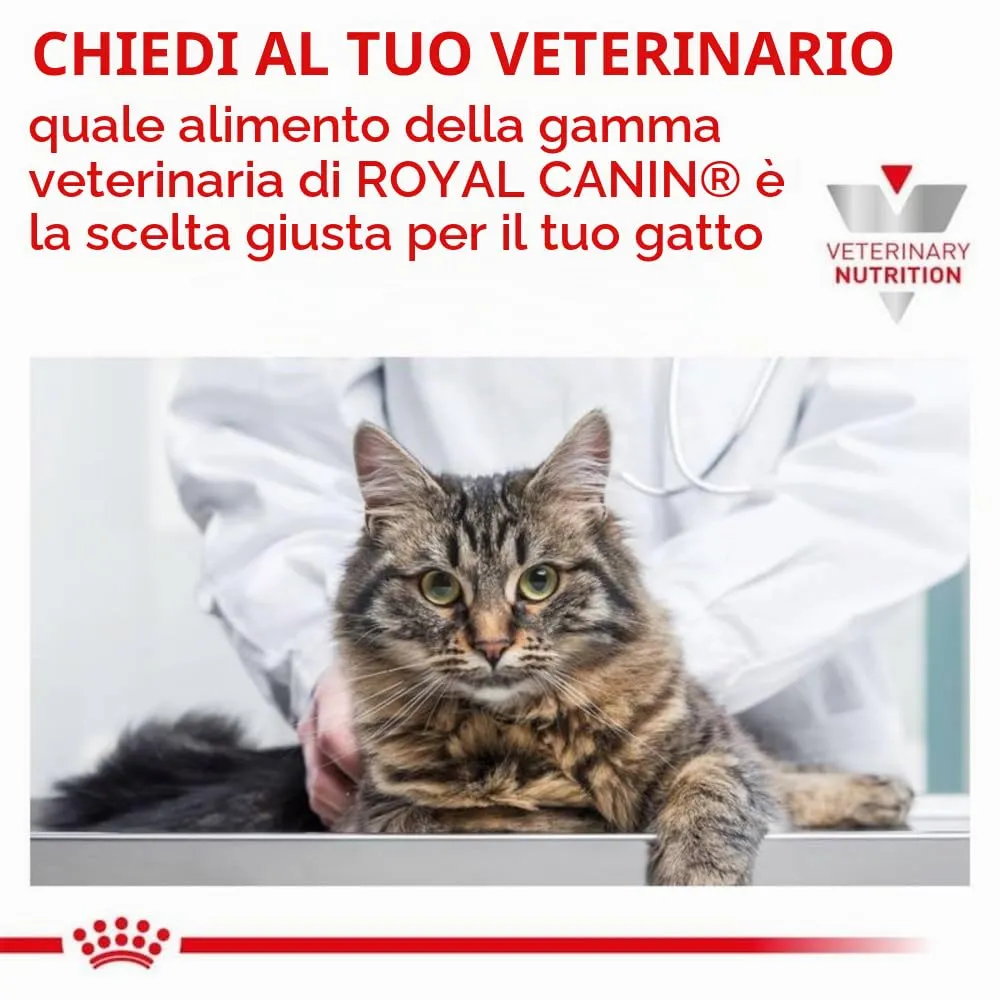 Royal Canin Veterinary Renal Special Feline, 2 kg - immagine 4