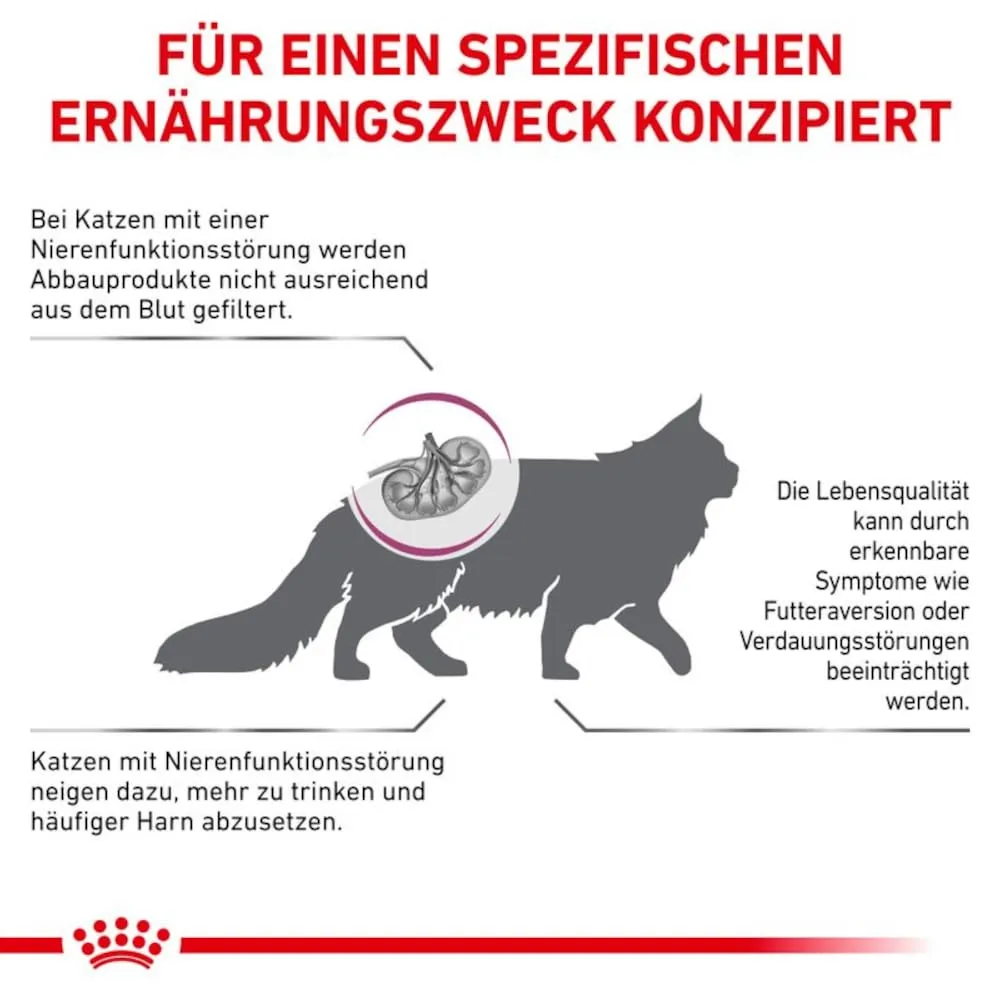 Royal Canin Veterinary Renal Special Feline, 2 kg - immagine 9