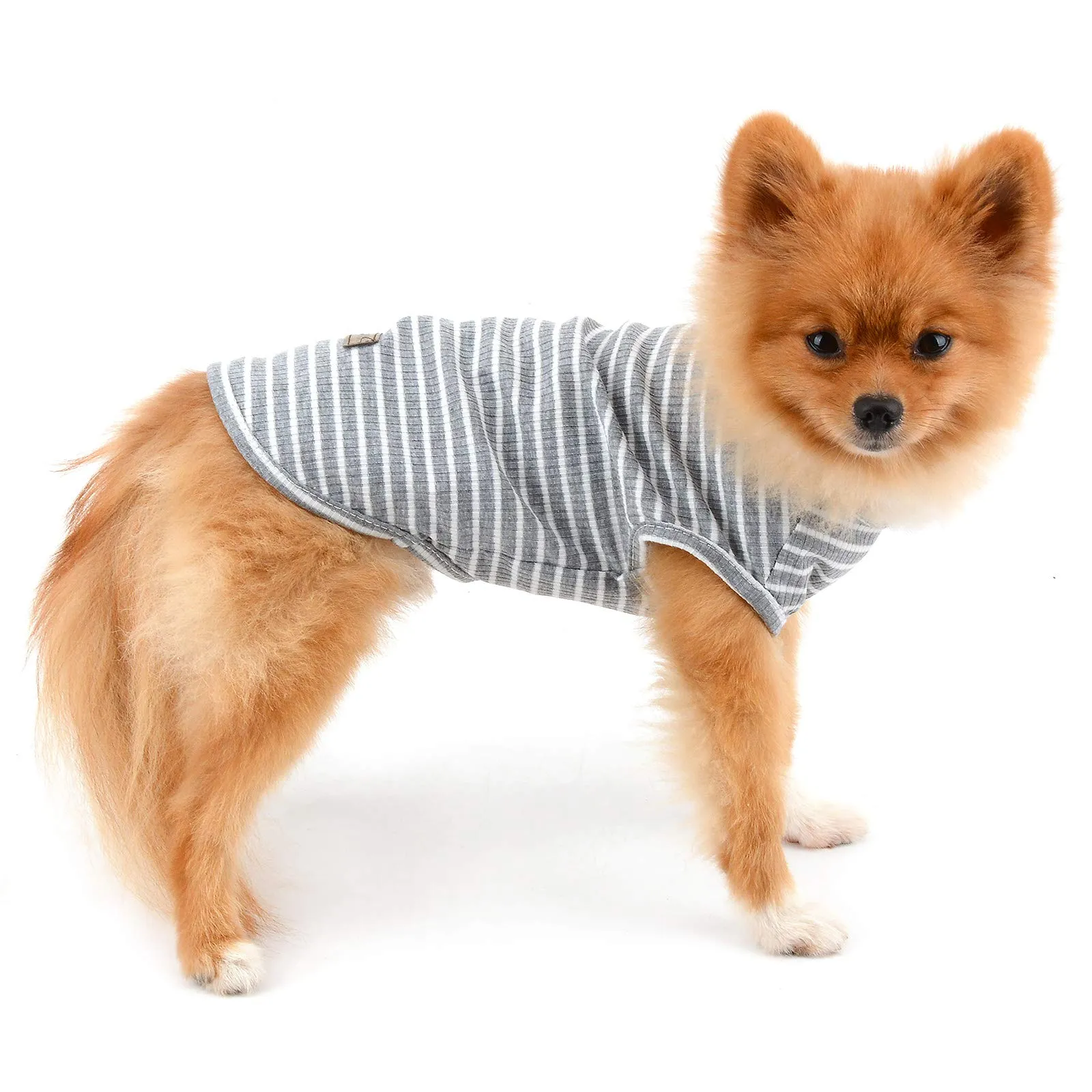 PAIDEFUL Maglietta a Righe per Cani di Piccola Taglia, Gilet Traspirante in Cotone, Grigio, XXL - immagine 6