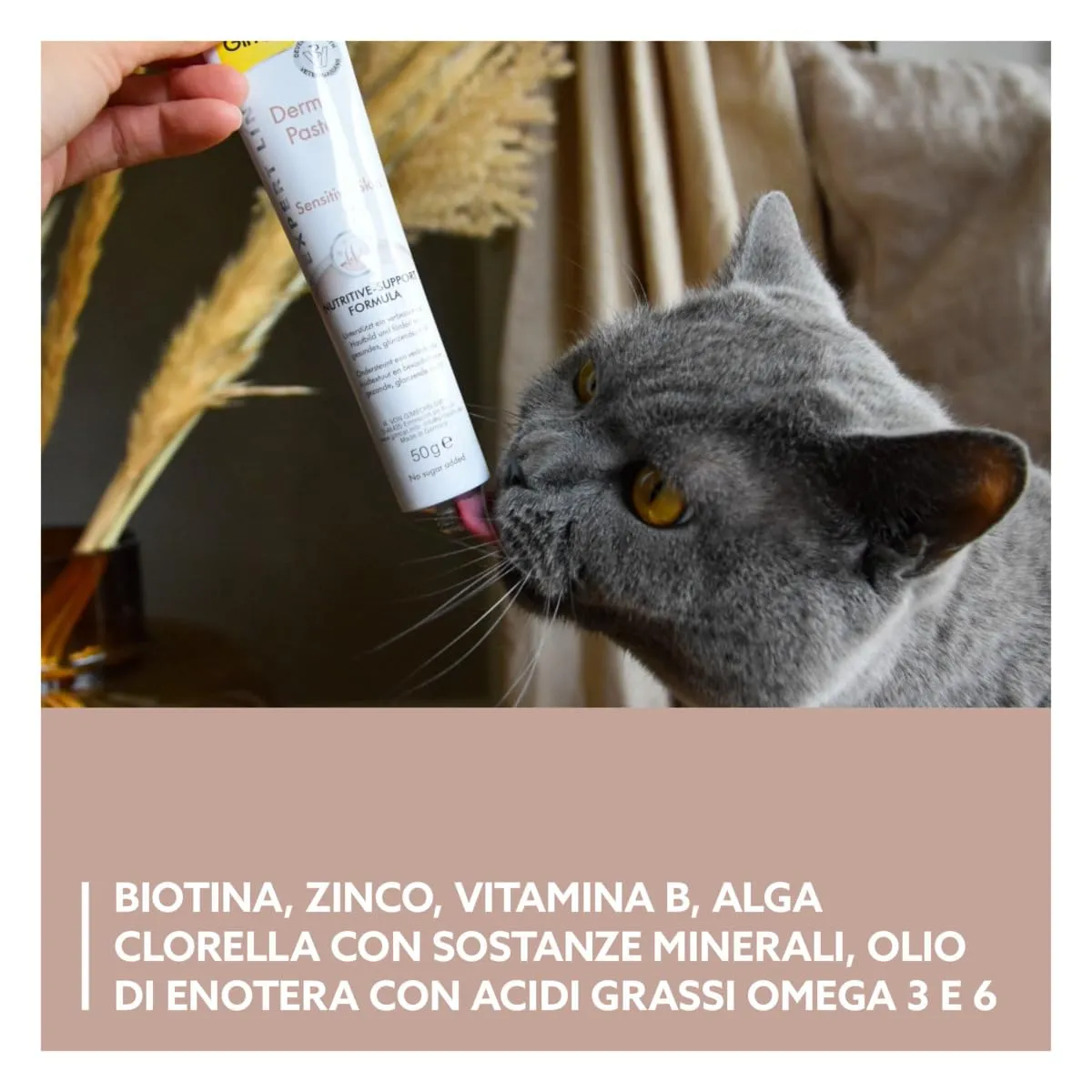 GimCat Expert Line Derma Pasta, 50 g - immagine 4
