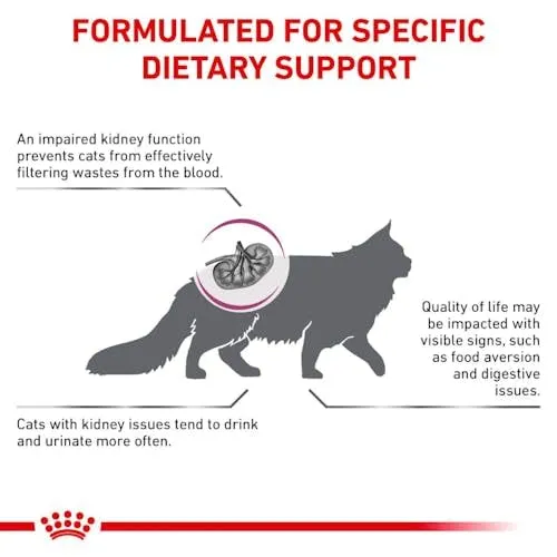 Royal Canin Veterinary Renal Special Feline, 2 x 400 g - immagine 5