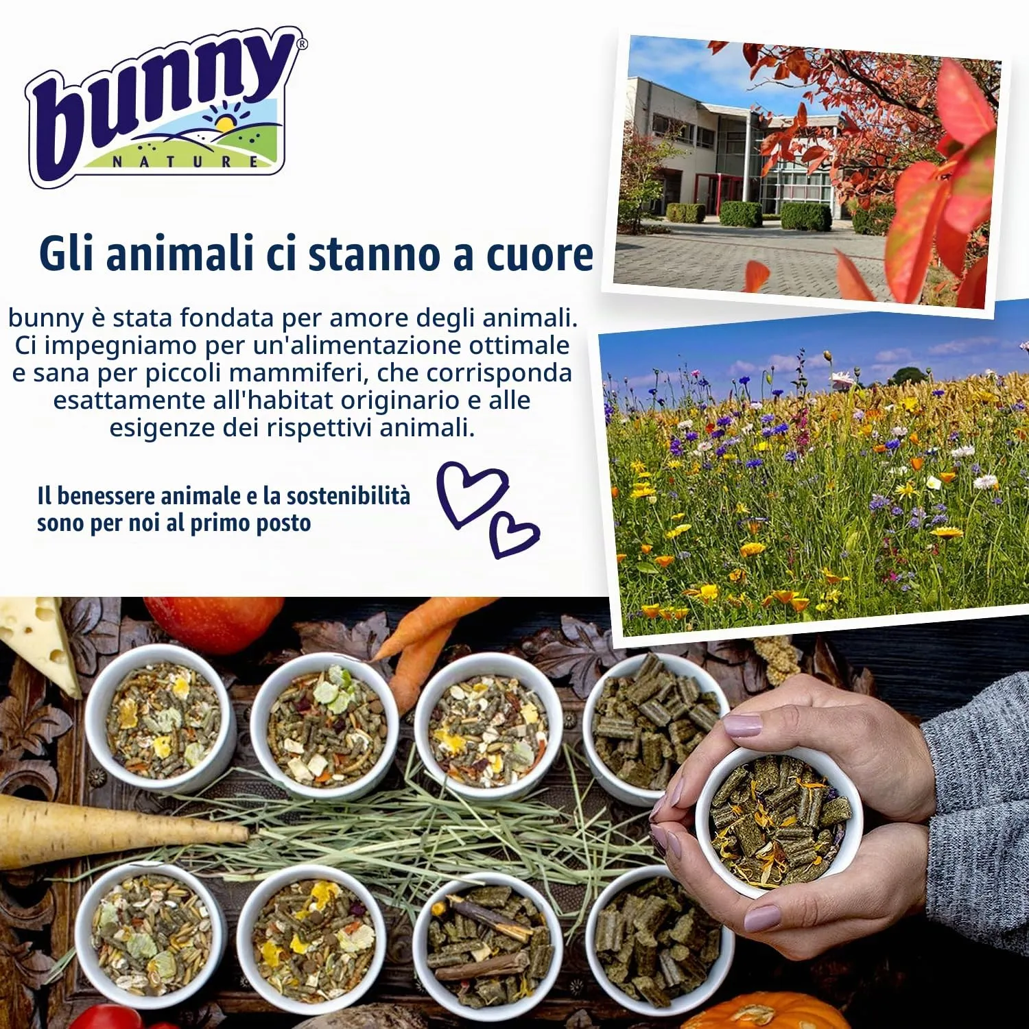 Bunny Nature HamsterTraum Expert Mangime per Criceti, 500 g - immagine 8