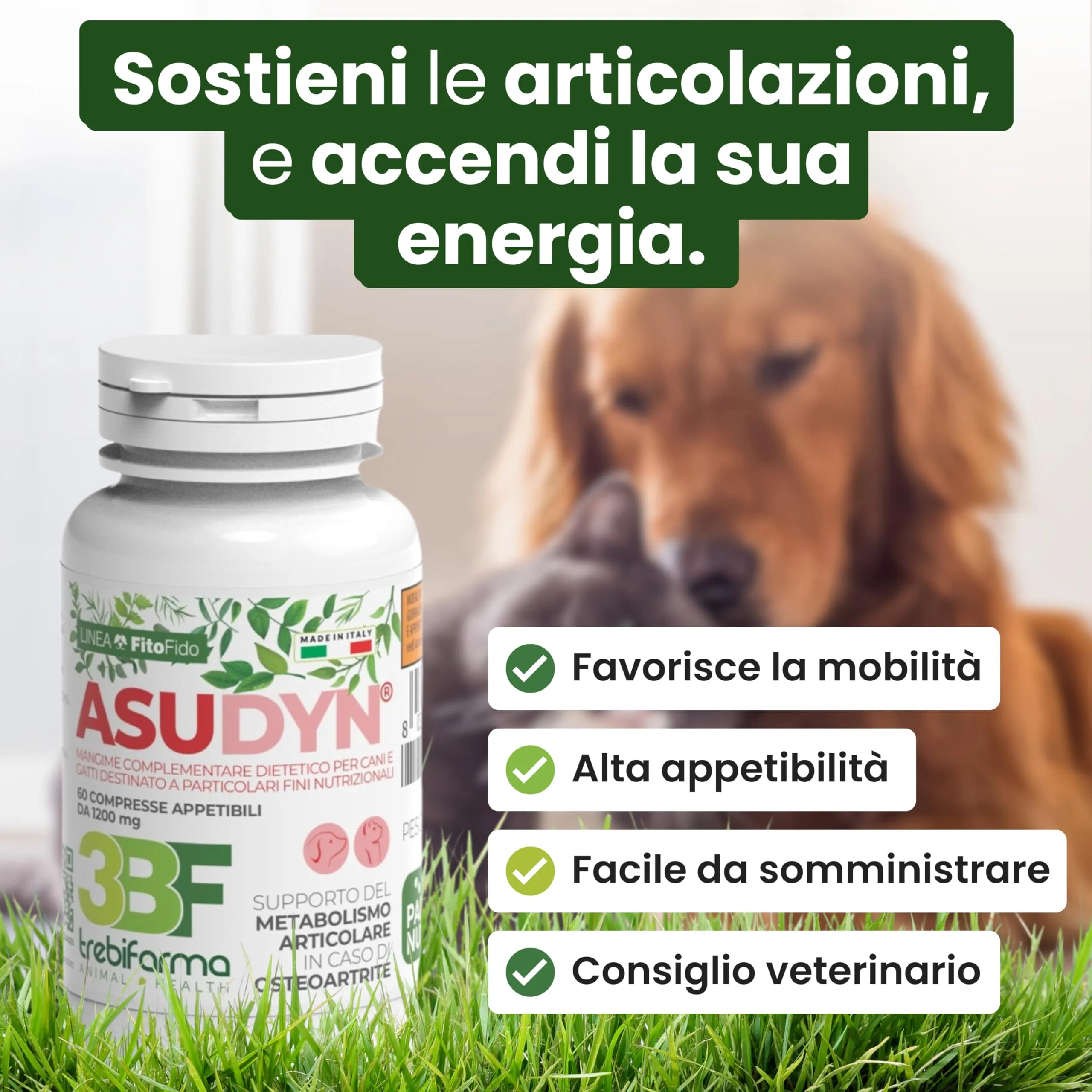 Trebifarma Asudyn per Cani Supporto Naturale per Articolazioni e Mobilità, 60 Compresse - immagine 2