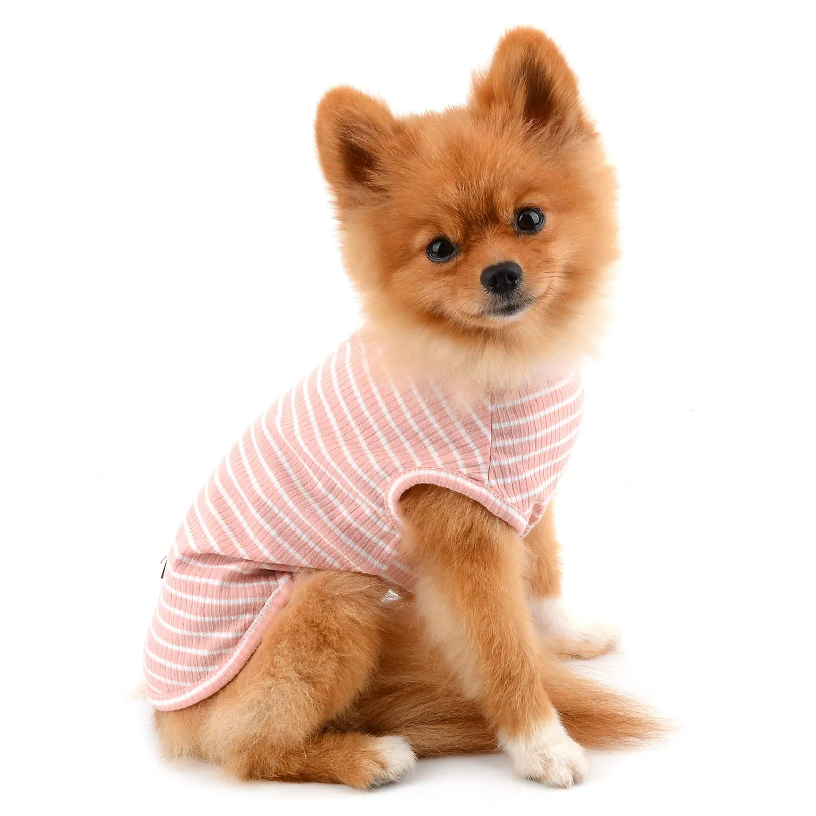 PAIDEFUL Maglietta a Righe per Cani di Piccola Taglia, Gilet in Cotone Traspirante, Rosa, M - immagine 3