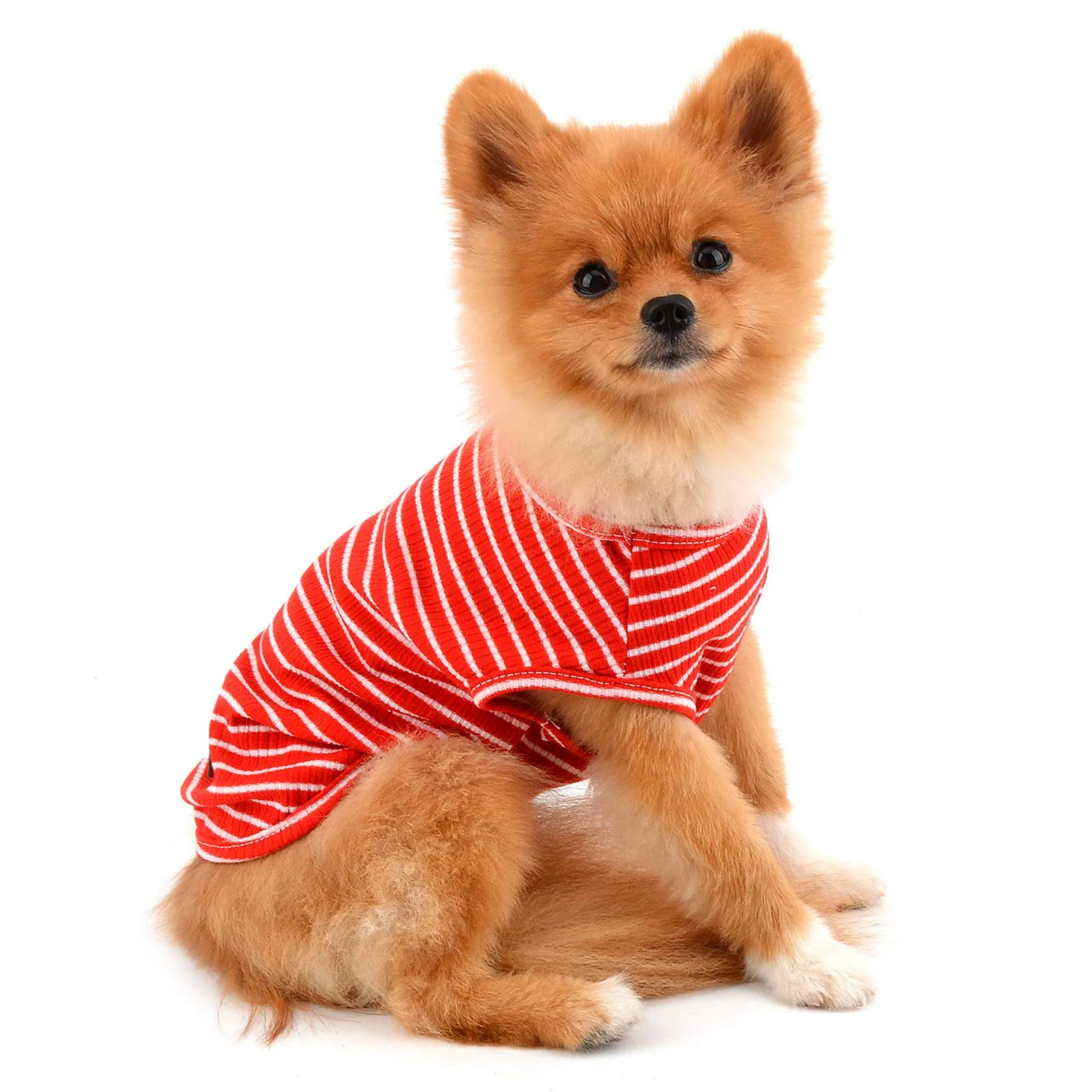 PAIDEFUL Maglietta a Righe per Cani di Piccola Taglia, Gilet Traspirante in Cotone, Rosso, XL - immagine 3
