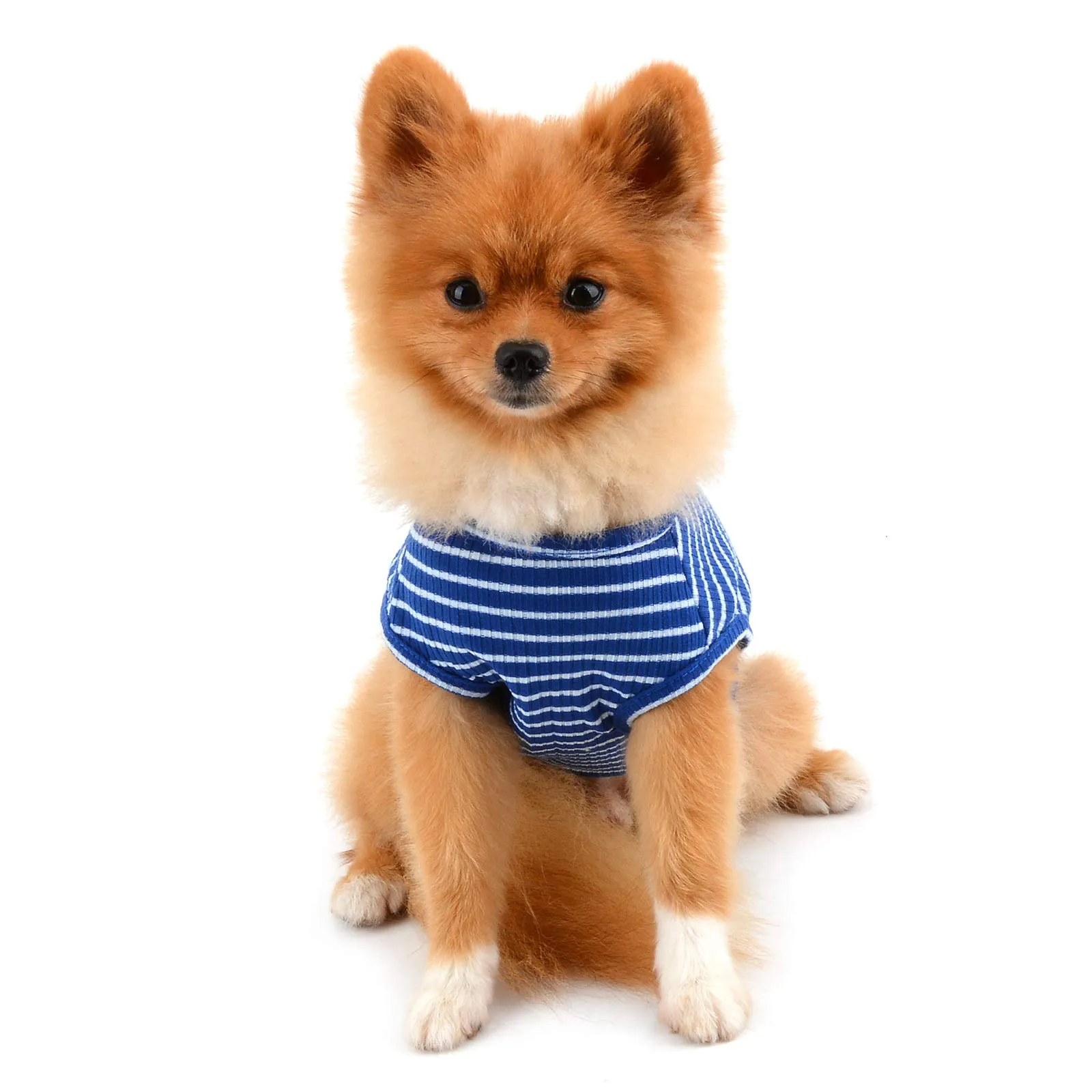 PAIDEFUL Maglietta a Righe per Cani di Piccola Taglia, Gilet in Cotone Traspirante Blu, L - immagine 4