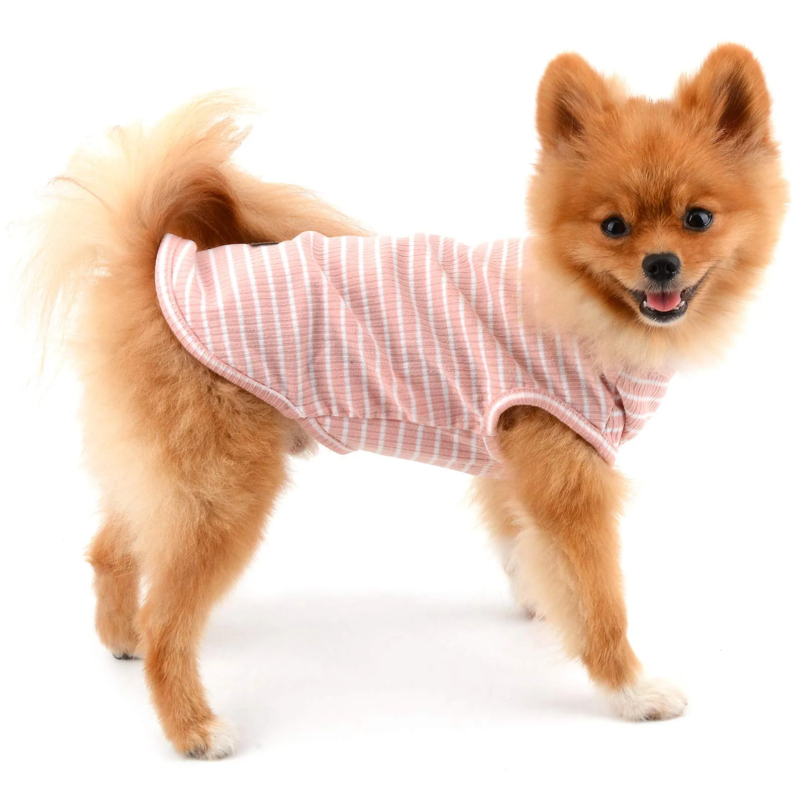 PAIDEFUL Maglietta a Righe per Cani di Piccola Taglia, Gilet Traspirante in Cotone, Rosa, XL - immagine 2