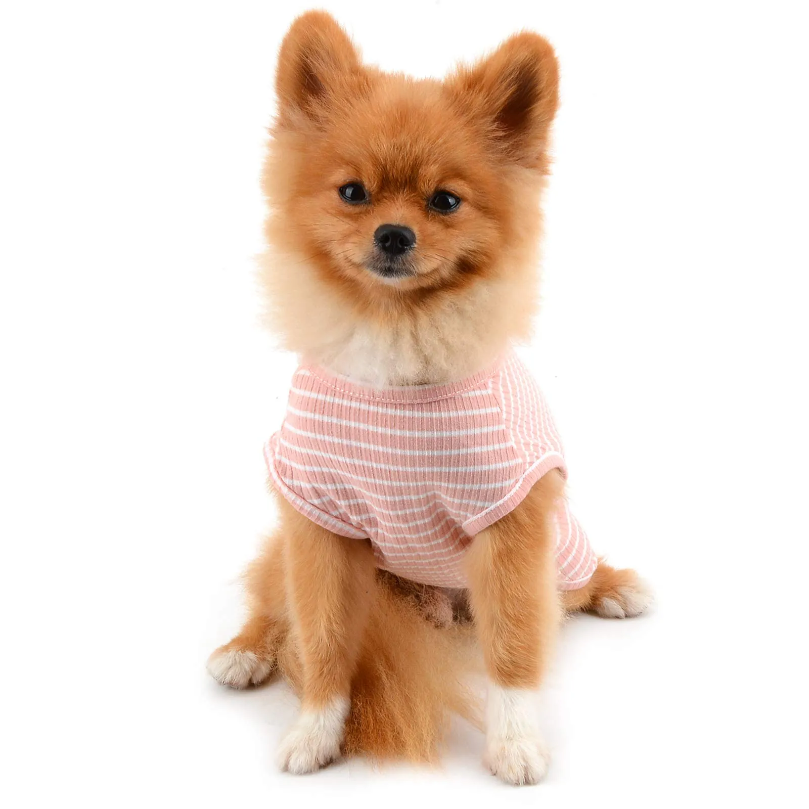 PAIDEFUL Maglietta a Righe per Cani di Piccola Taglia in Cotone, Rosa L - immagine 6