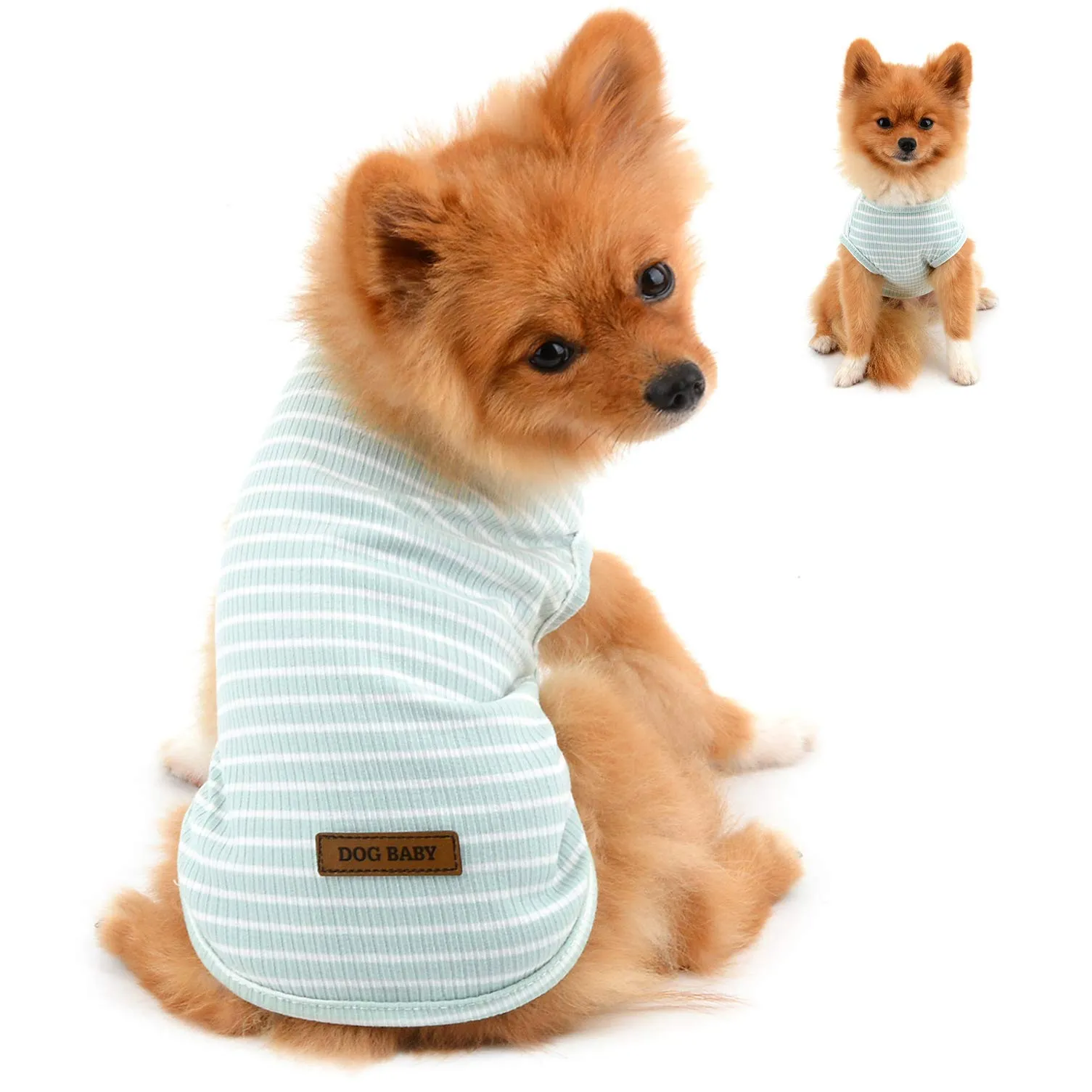 PAIDEFUL Maglietta a Righe per Cani di Piccola Taglia in Cotone, Verde, XXL - immagine 1