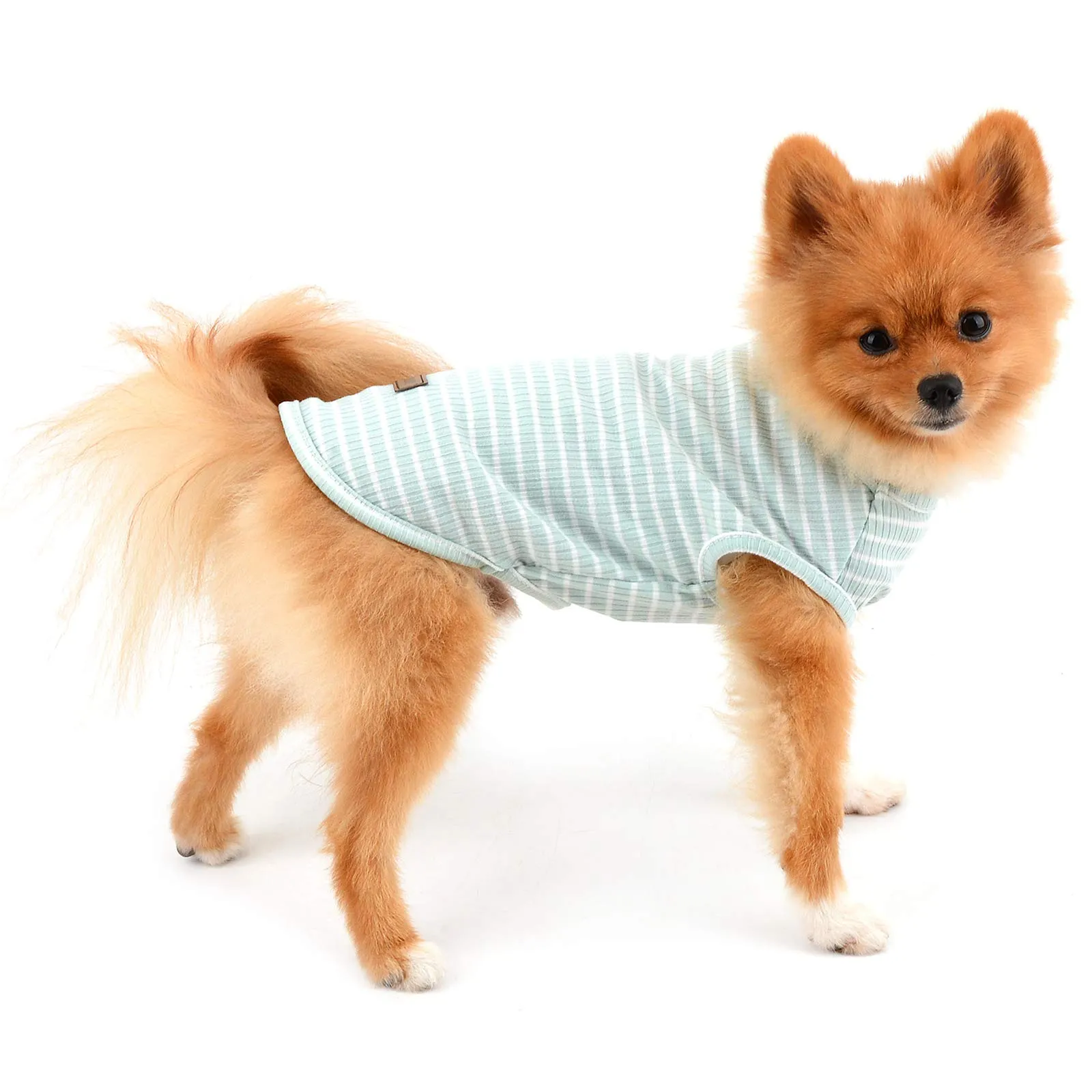 PAIDEFUL Maglietta a Righe per Cani di Piccola Taglia in Cotone, Verde, XXL - immagine 6