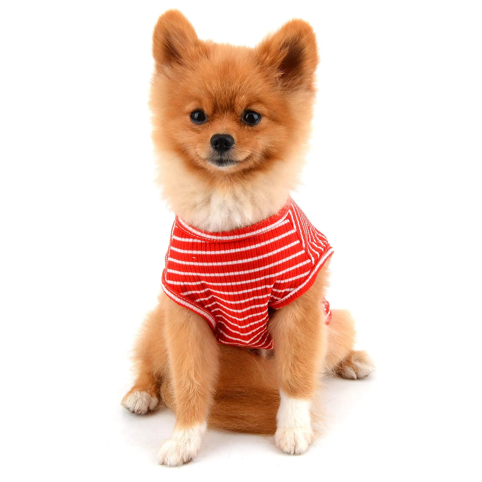 PAIDEFUL Maglietta a Righe per Cani di Piccola Taglia, Gilet Traspirante in Cotone, Rosso, M - immagine 2