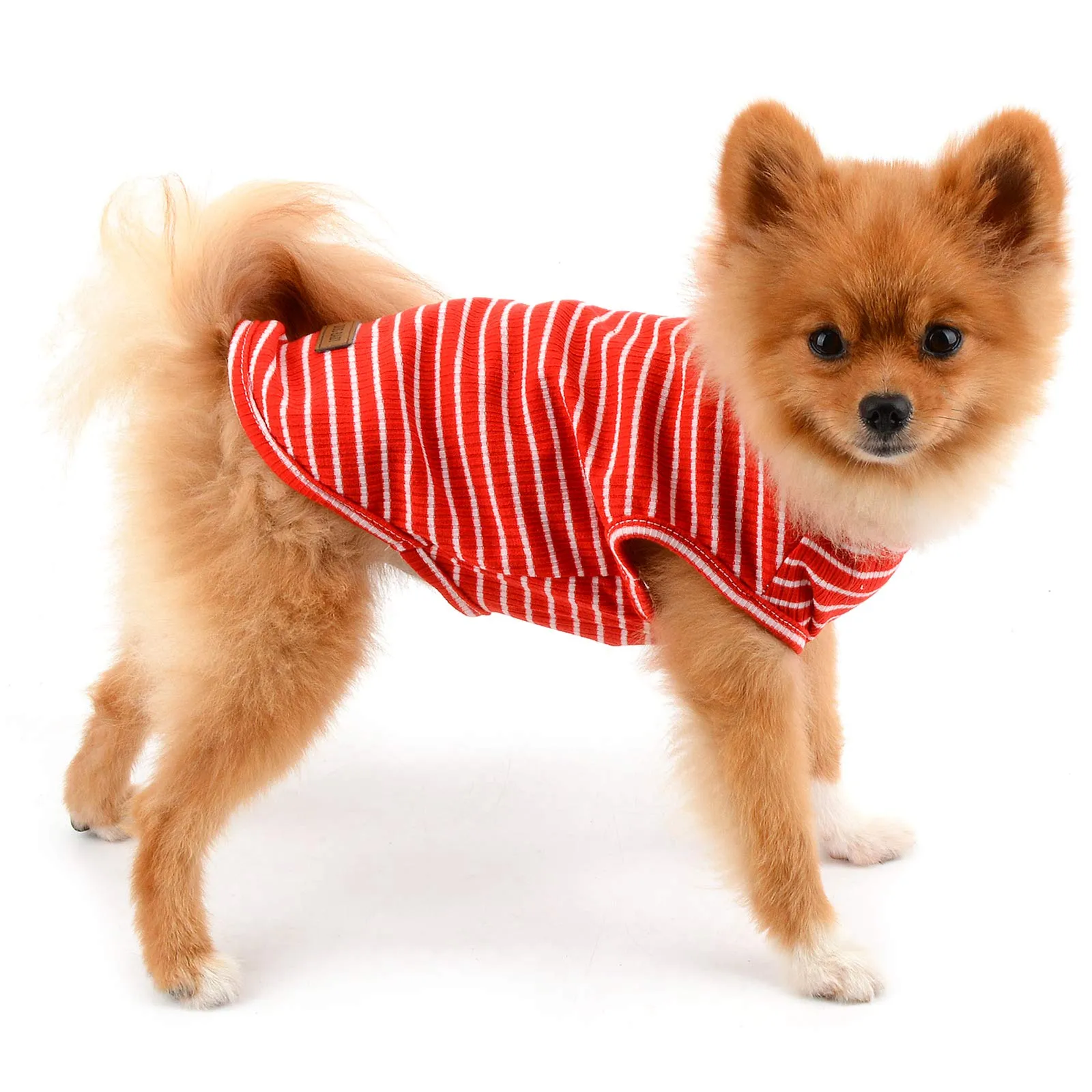 PAIDEFUL Maglietta a Righe per Cani di Piccola Taglia, Gilet Traspirante in Cotone, Rosso XXL - immagine 6