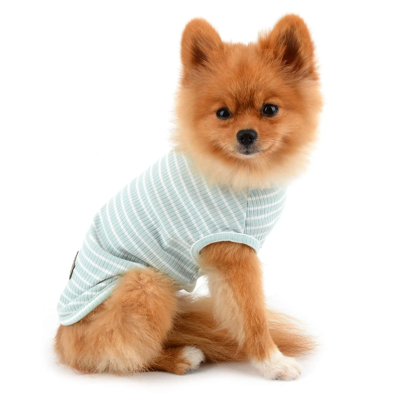 PAIDEFUL Maglietta a Righe per Cani di Piccola Taglia, Gilet Traspirante in Cotone, Verde, S - immagine 3