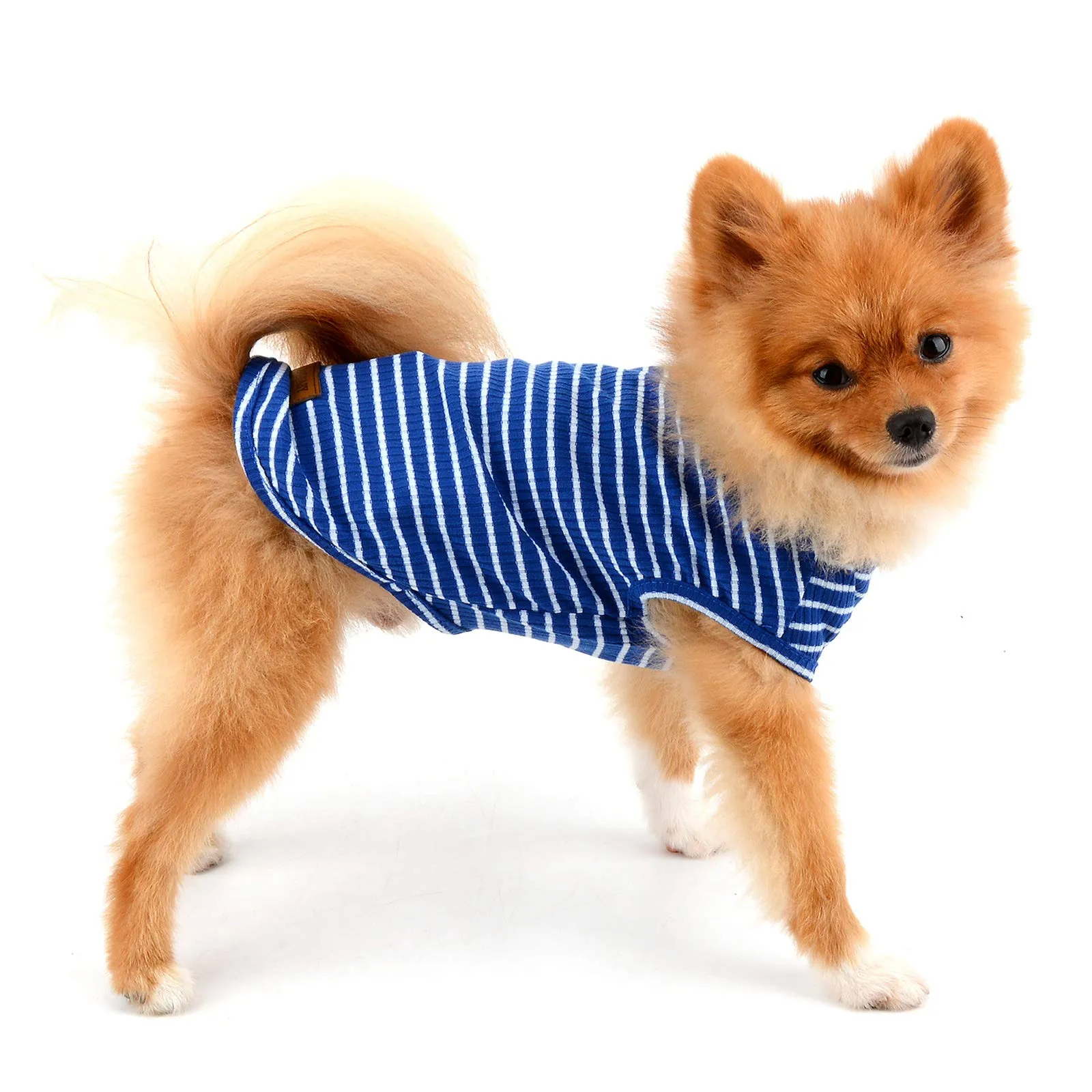PAIDEFUL Maglietta a Righe per Cani di Piccola Taglia, Gilet Traspirante in Cotone, Blu, S - immagine 6