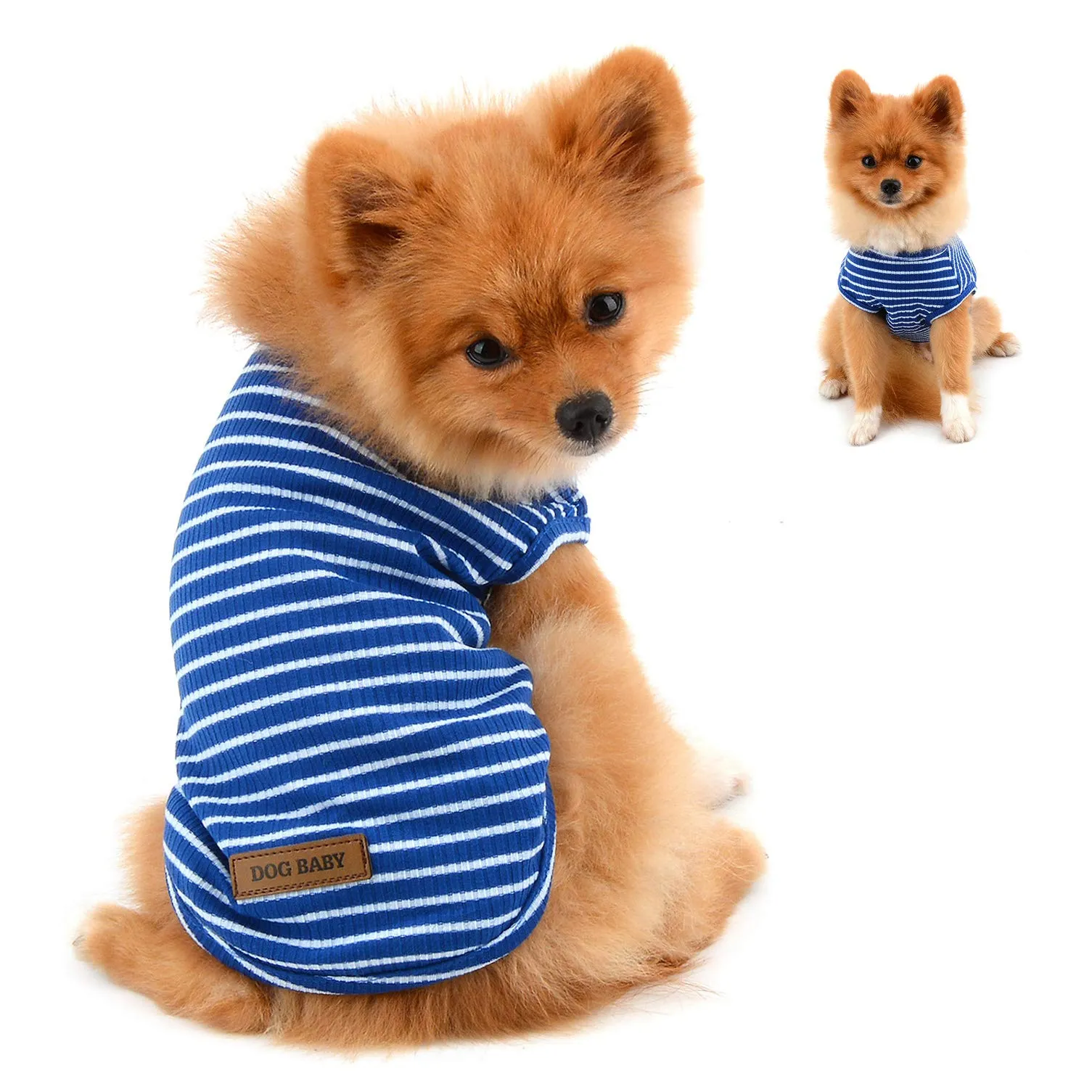 PAIDEFUL Maglietta a Righe per Cani di Piccola Taglia, Gilet Traspirante in Cotone, Blu, M - immagine 1