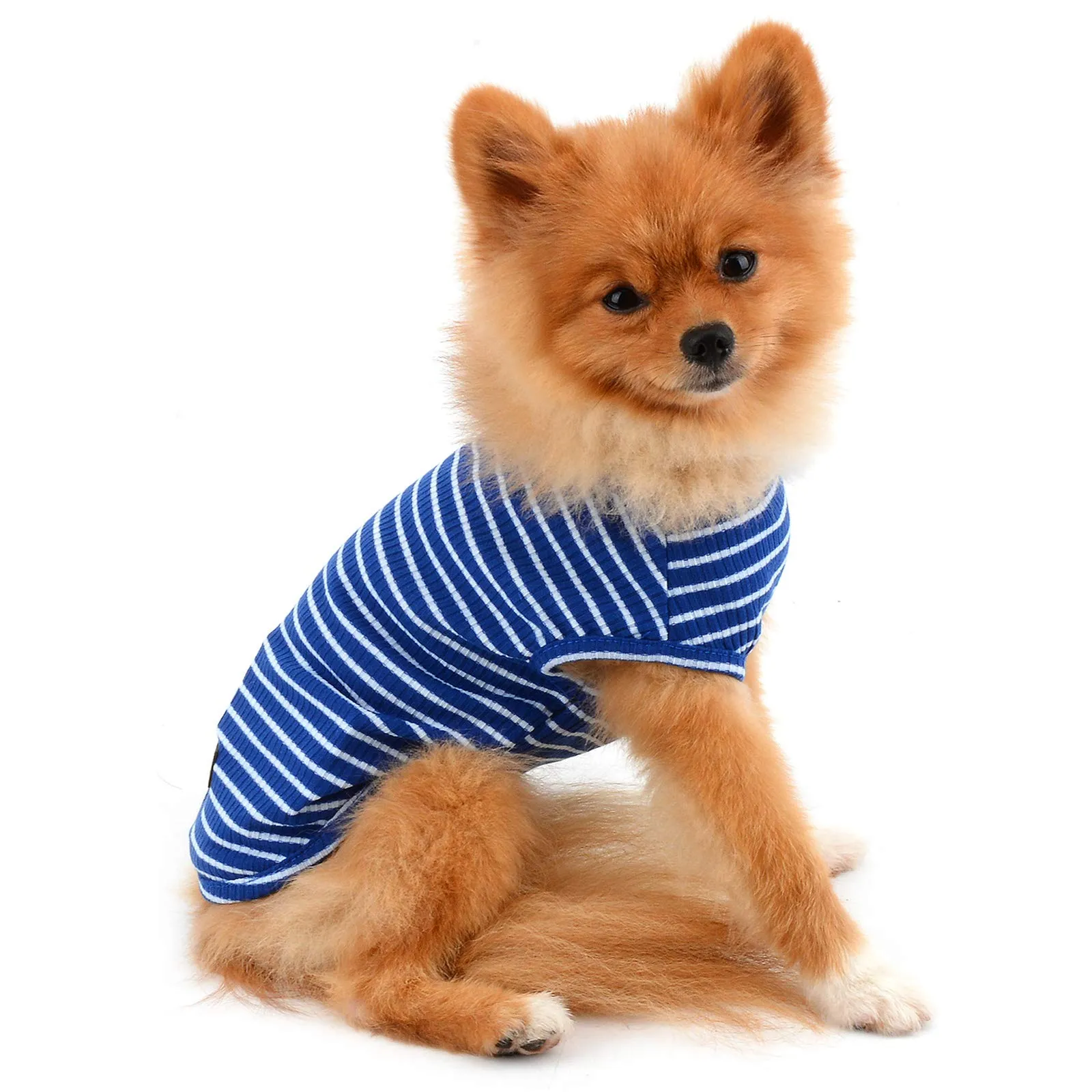PAIDEFUL Maglietta a Righe per Cani di Piccola Taglia, Gilet Traspirante in Cotone, Blu, M - immagine 2