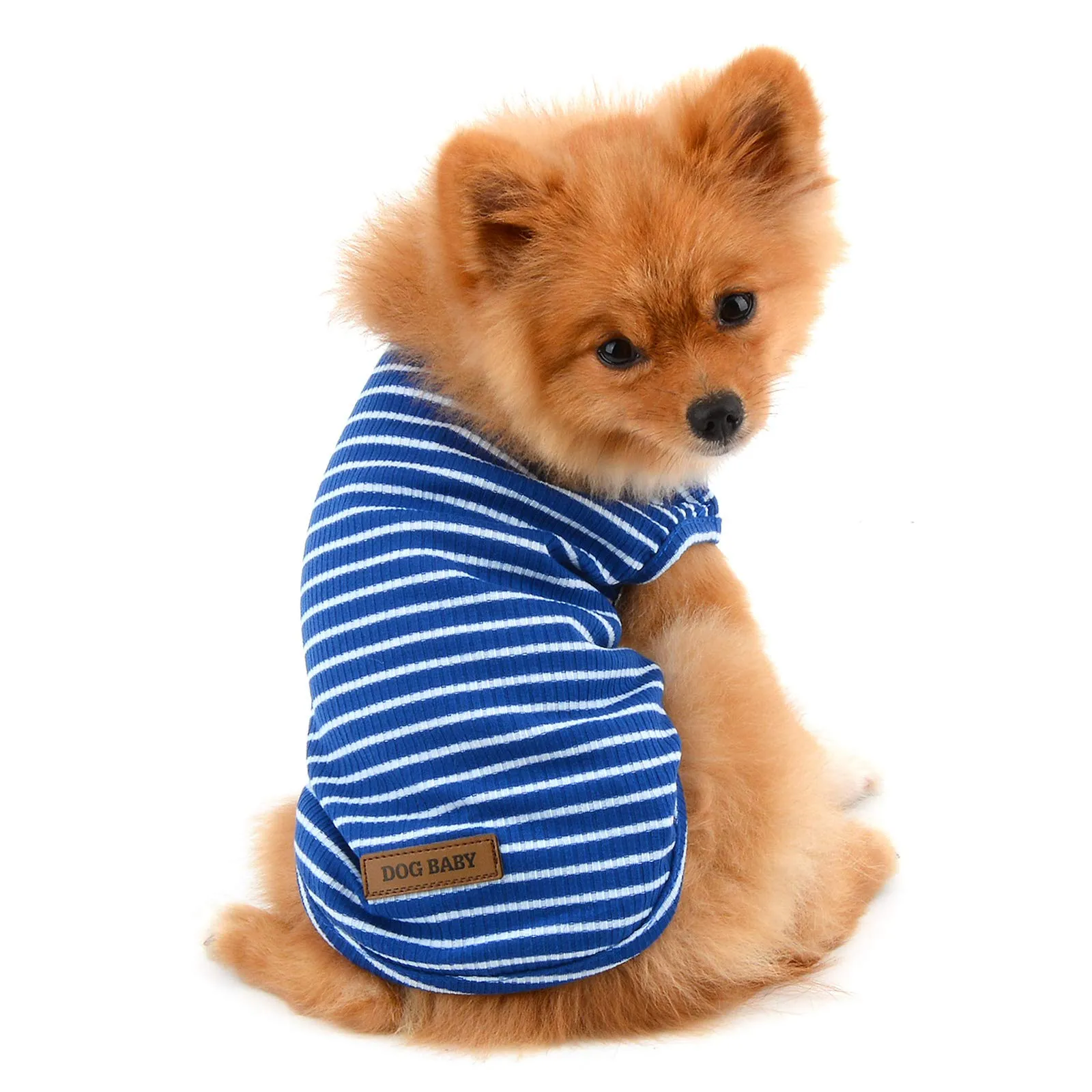 PAIDEFUL Maglietta a Righe per Cani di Piccola Taglia, Gilet Traspirante in Cotone, Blu, XL - immagine 3