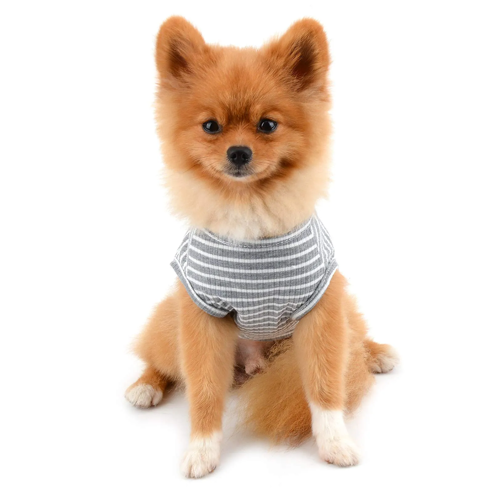 PAIDEFUL Maglietta a Righe per Cani di Piccola Taglia, Gilet Traspirante in Cotone, Grigio M - immagine 2