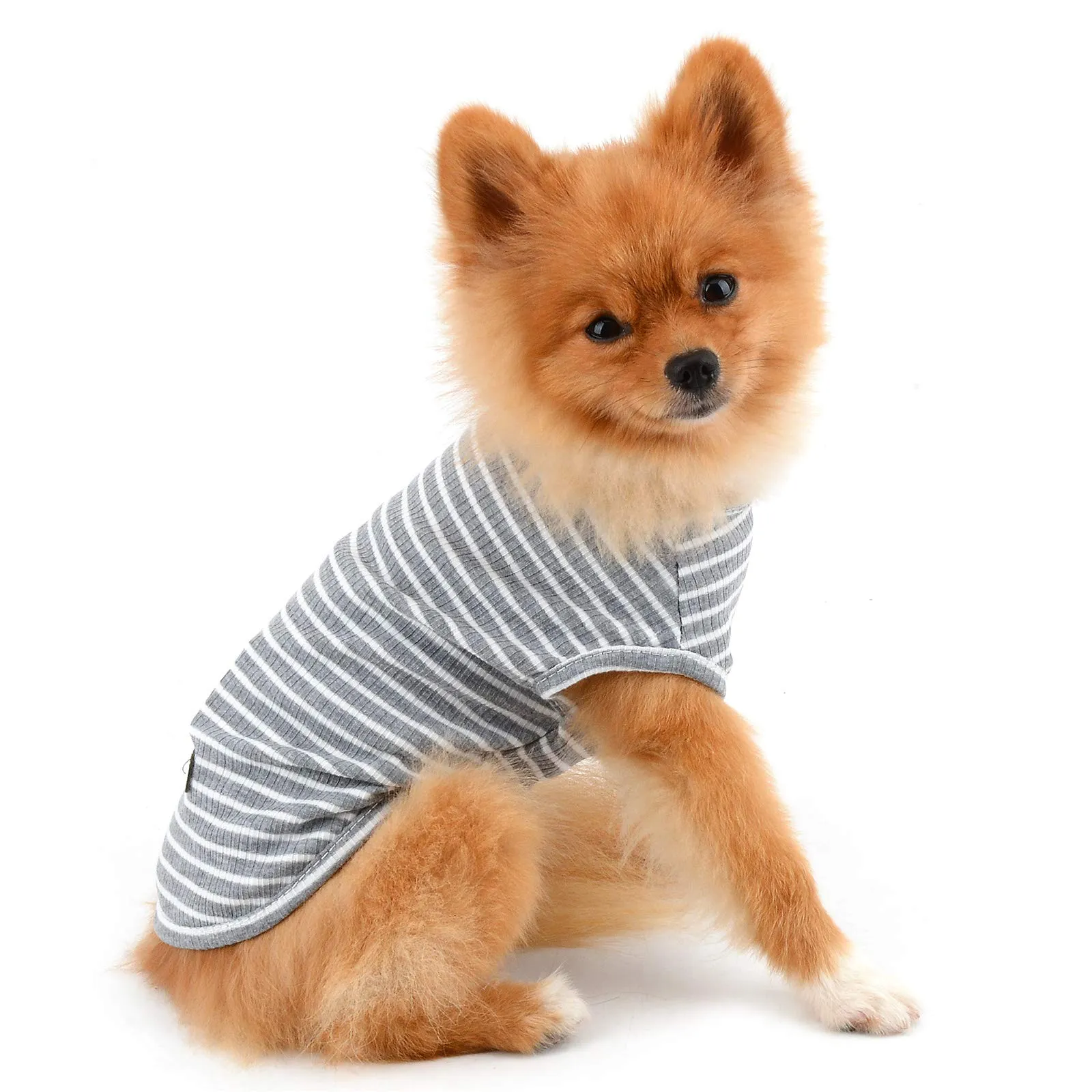 PAIDEFUL Maglietta a Righe per Cani di Piccola Taglia in Cotone, Grigio XL - immagine 3