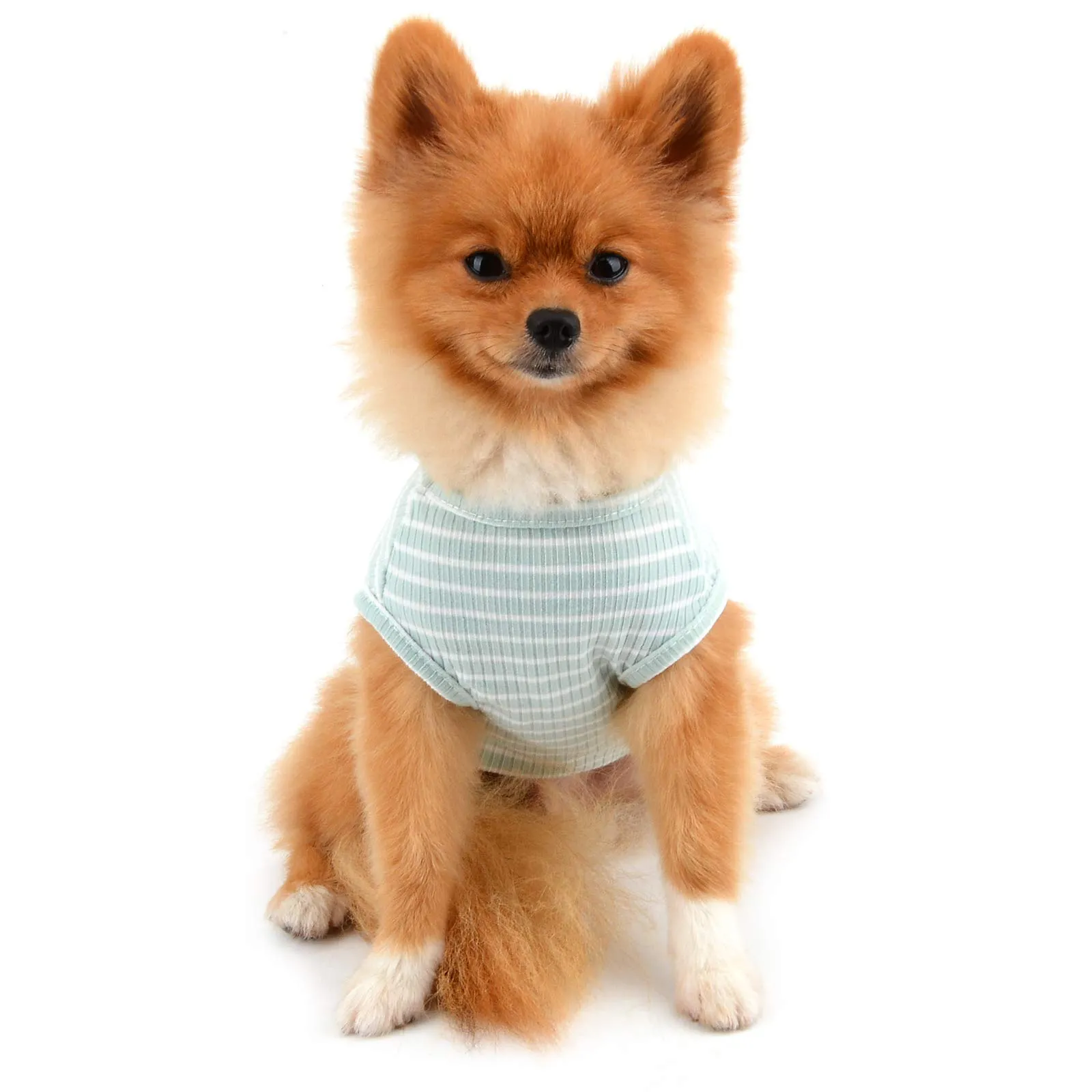 PAIDEFUL Maglietta a Righe per Cani di Piccola Taglia, Gilet in Cotone Traspirante, Verde, M - immagine 4